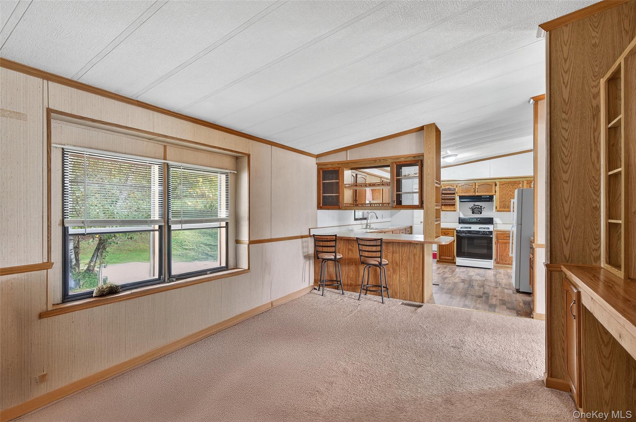 Single Family Pine Drive Sullivan County, NY 12721, MLS-904273-24