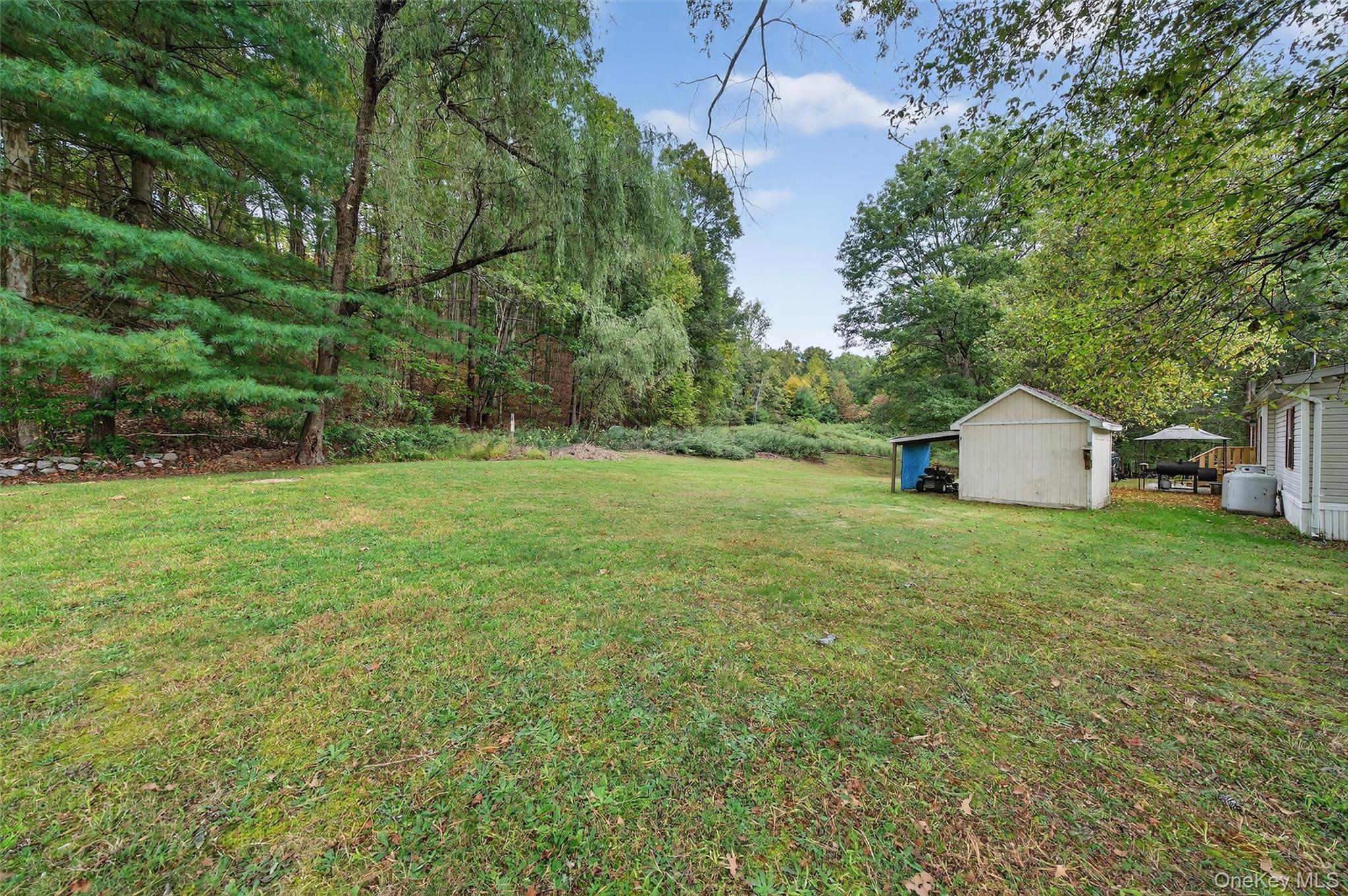 Single Family Pine Drive Sullivan County, NY 12721, MLS-904273-37