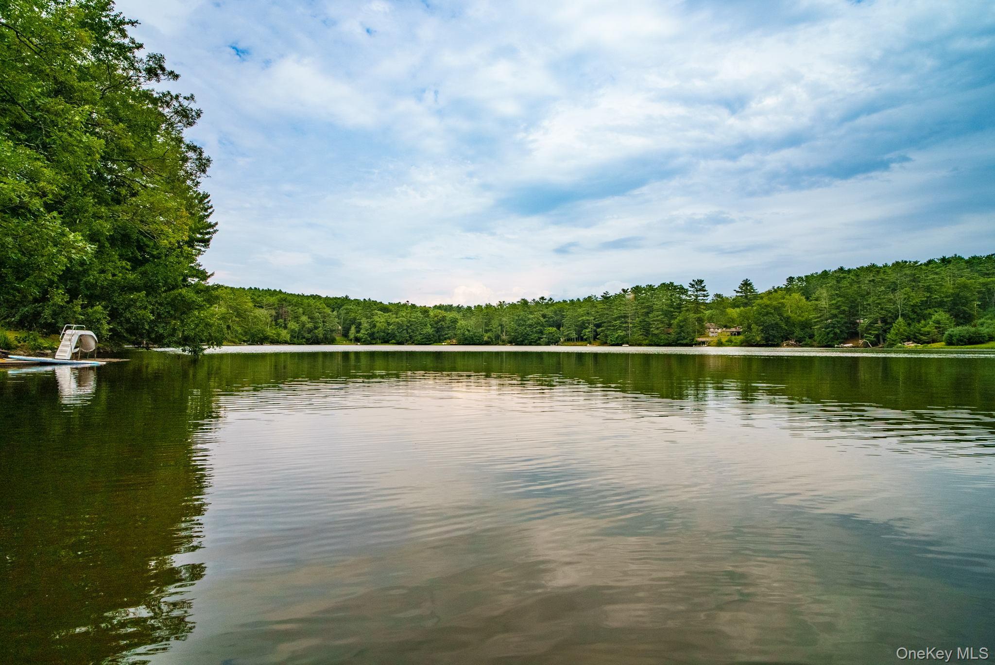 Single Family Bodine Lake  Sullivan County, NY 12792, MLS-904340-2