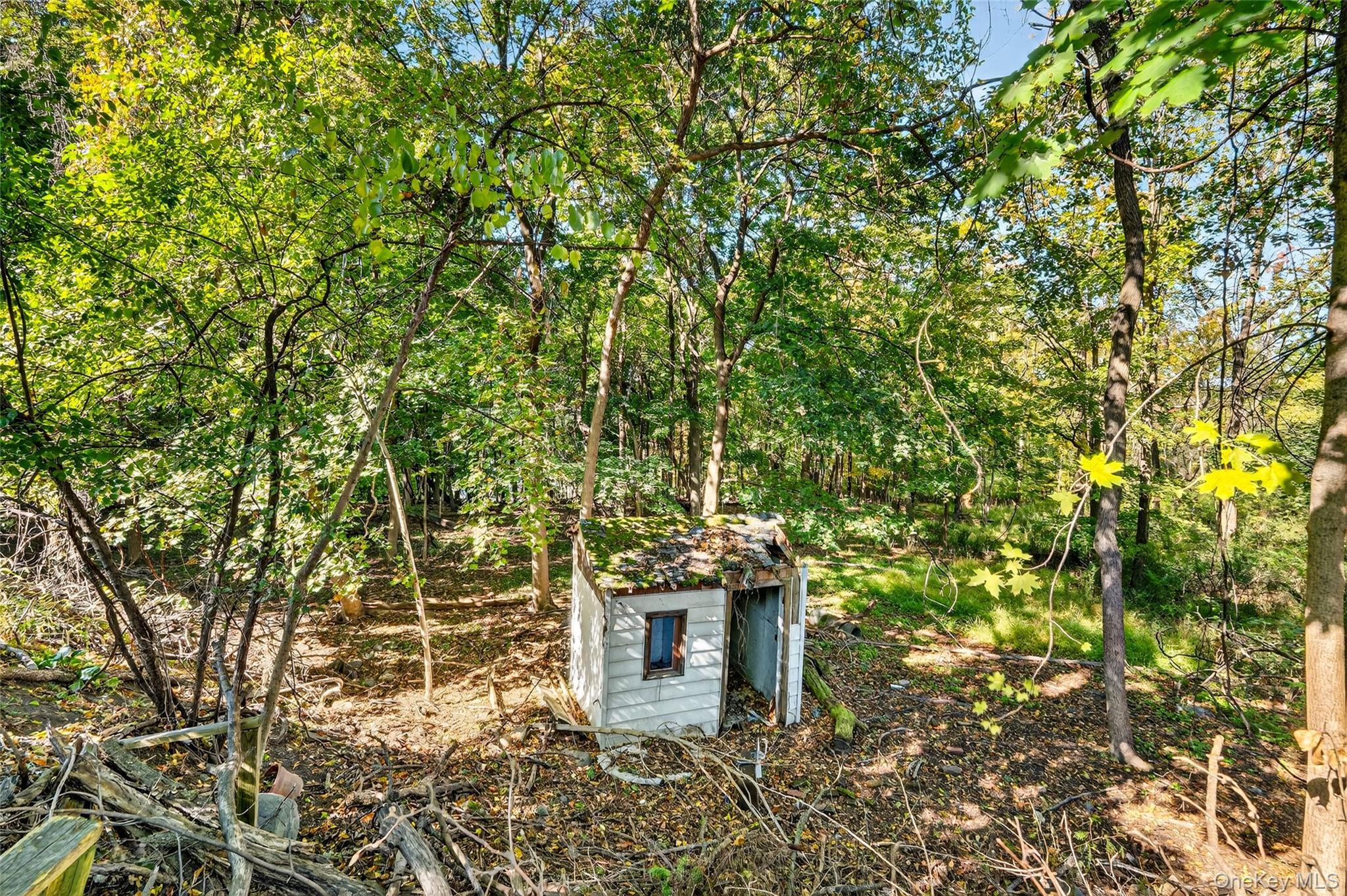 Single Family Russell Orange County, NY 12550, MLS-904365-38