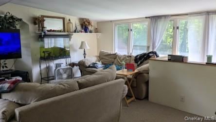 Single Family Old Mill  Dutchess County, NY 12603, MLS-904495-18