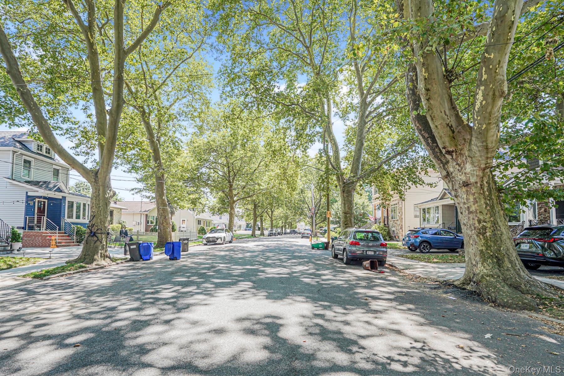 Single Family Hawthorne  Staten Island, NY 10314, MLS-904502-26