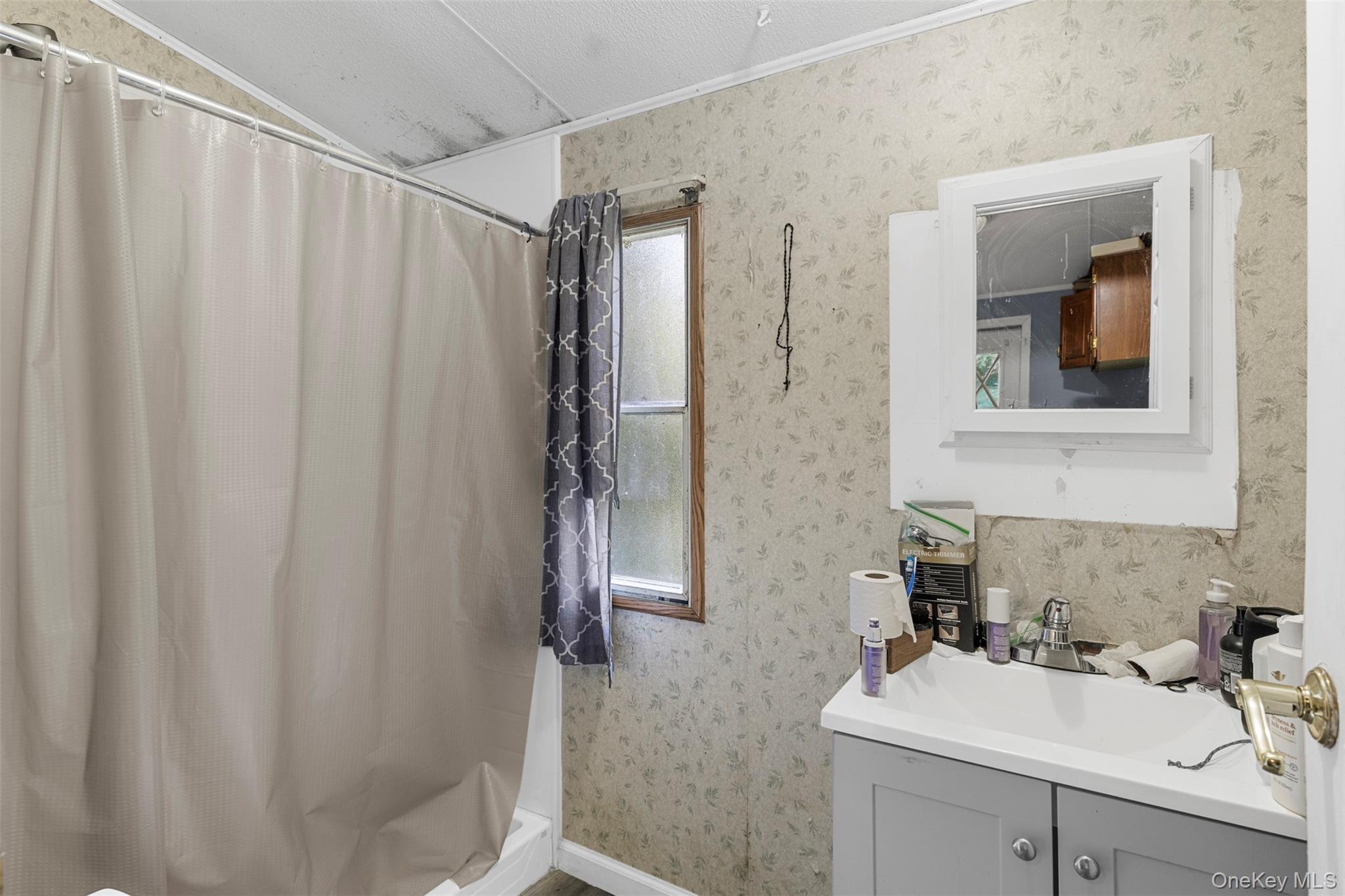 Single Family Orange Lake  Orange County, NY 12586, MLS-904562-17