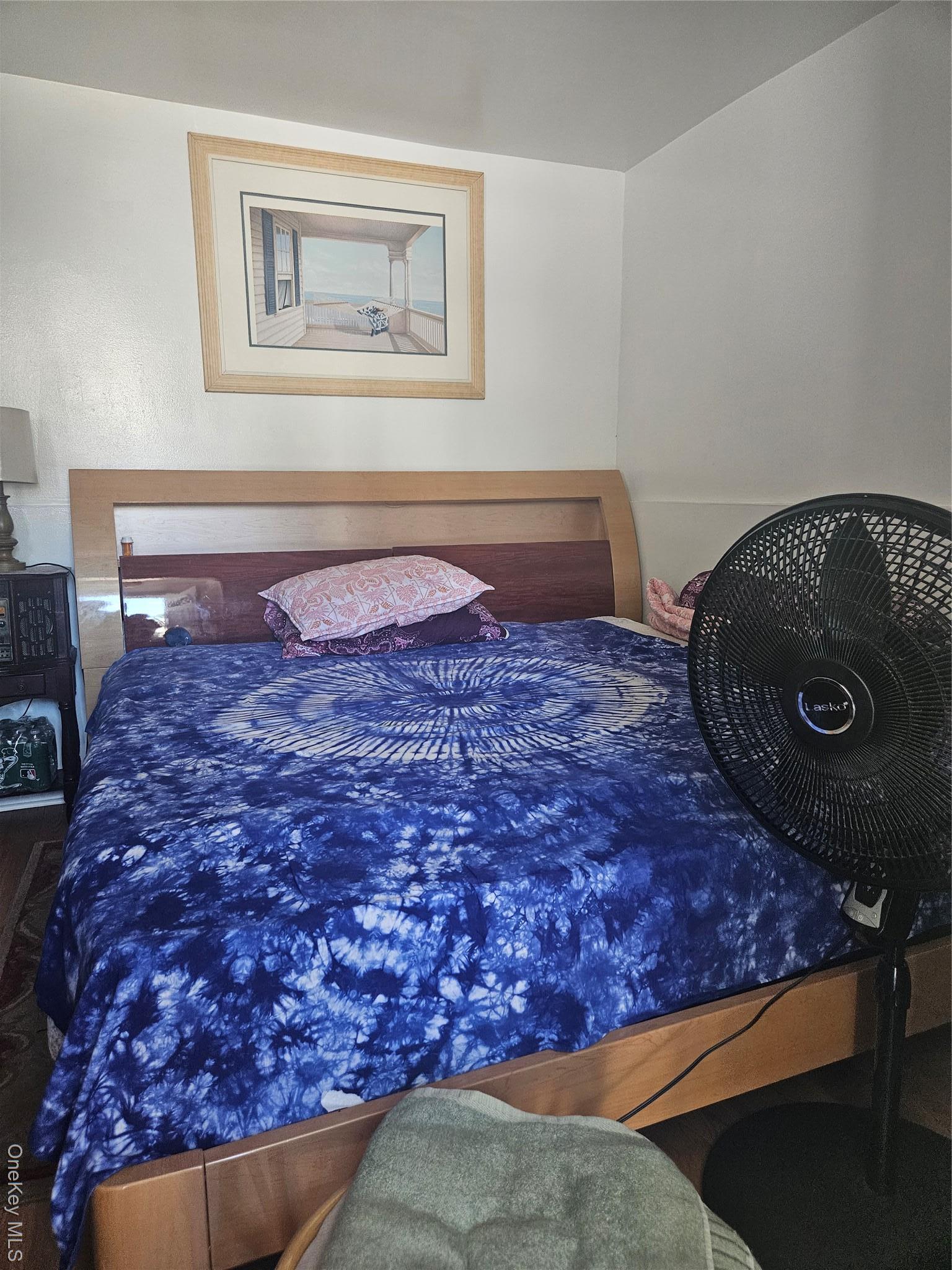 Single Family 118th  Queens, NY 11434, MLS-904579-3