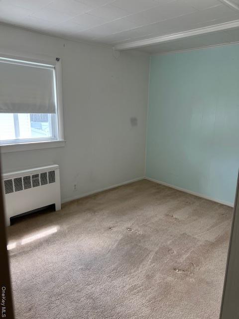 Single Family Adirondack  Suffolk County, NY 11738, MLS-904584-7