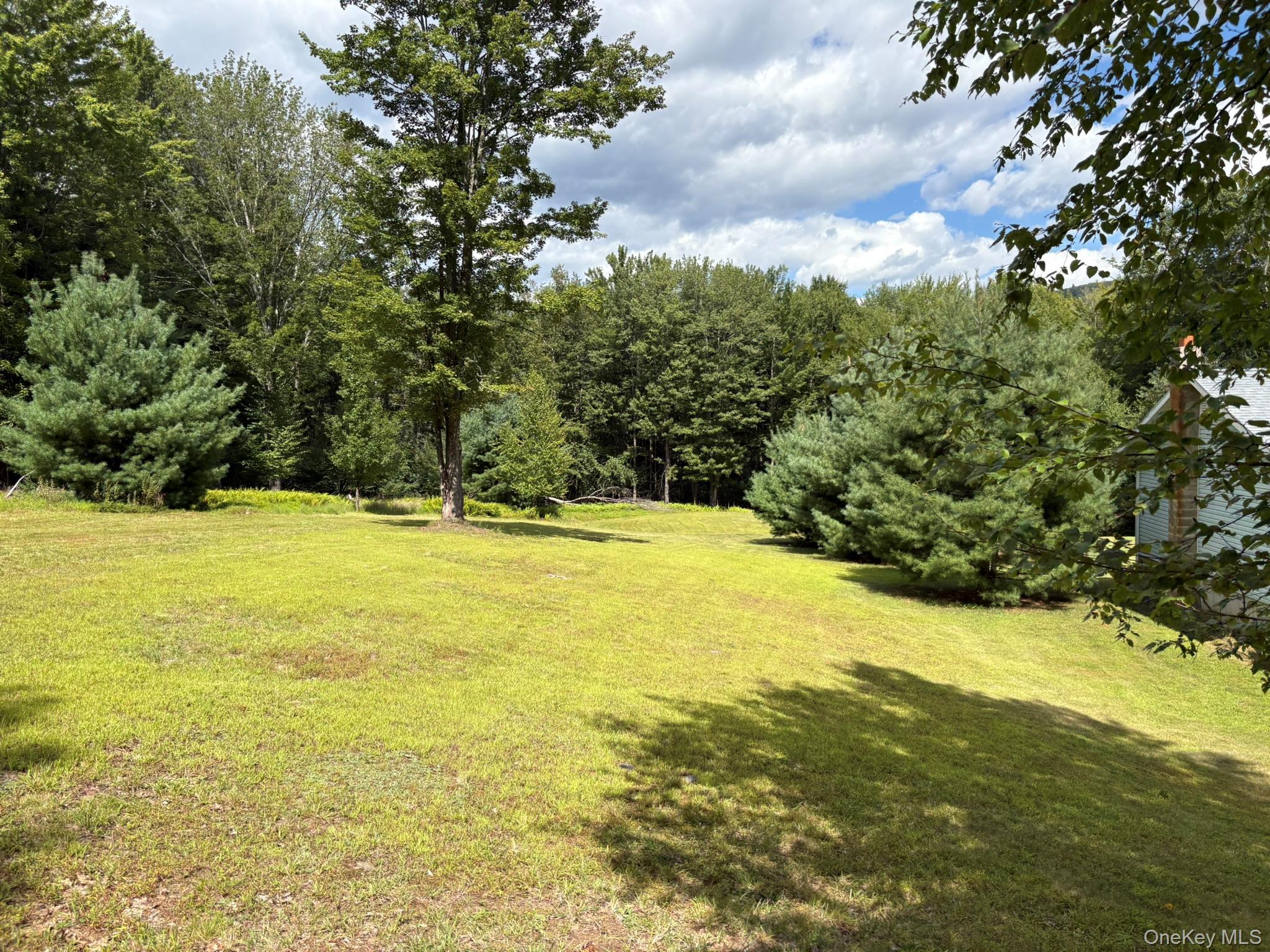 Single Family Schoolhouse Ulster County, NY 12458, MLS-904587-37