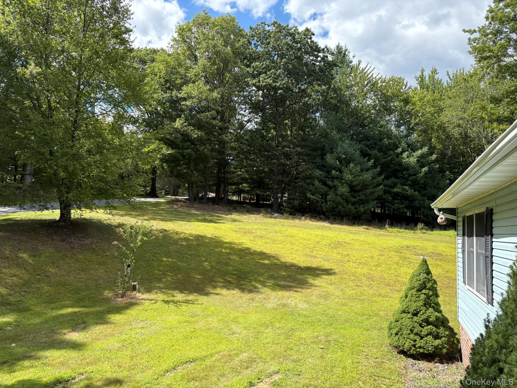 Single Family Schoolhouse Ulster County, NY 12458, MLS-904587-38