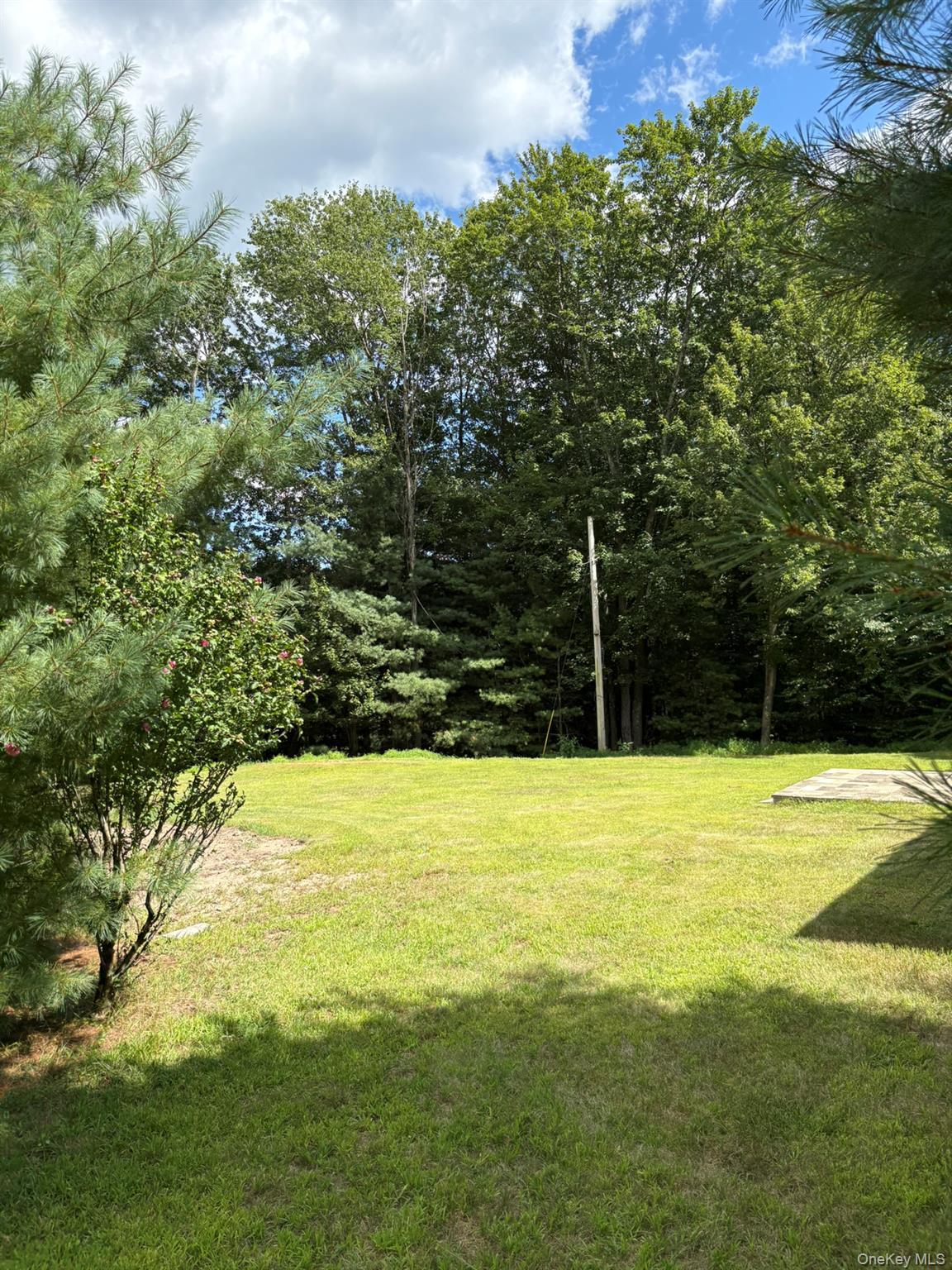 Single Family Schoolhouse Ulster County, NY 12458, MLS-904587-41