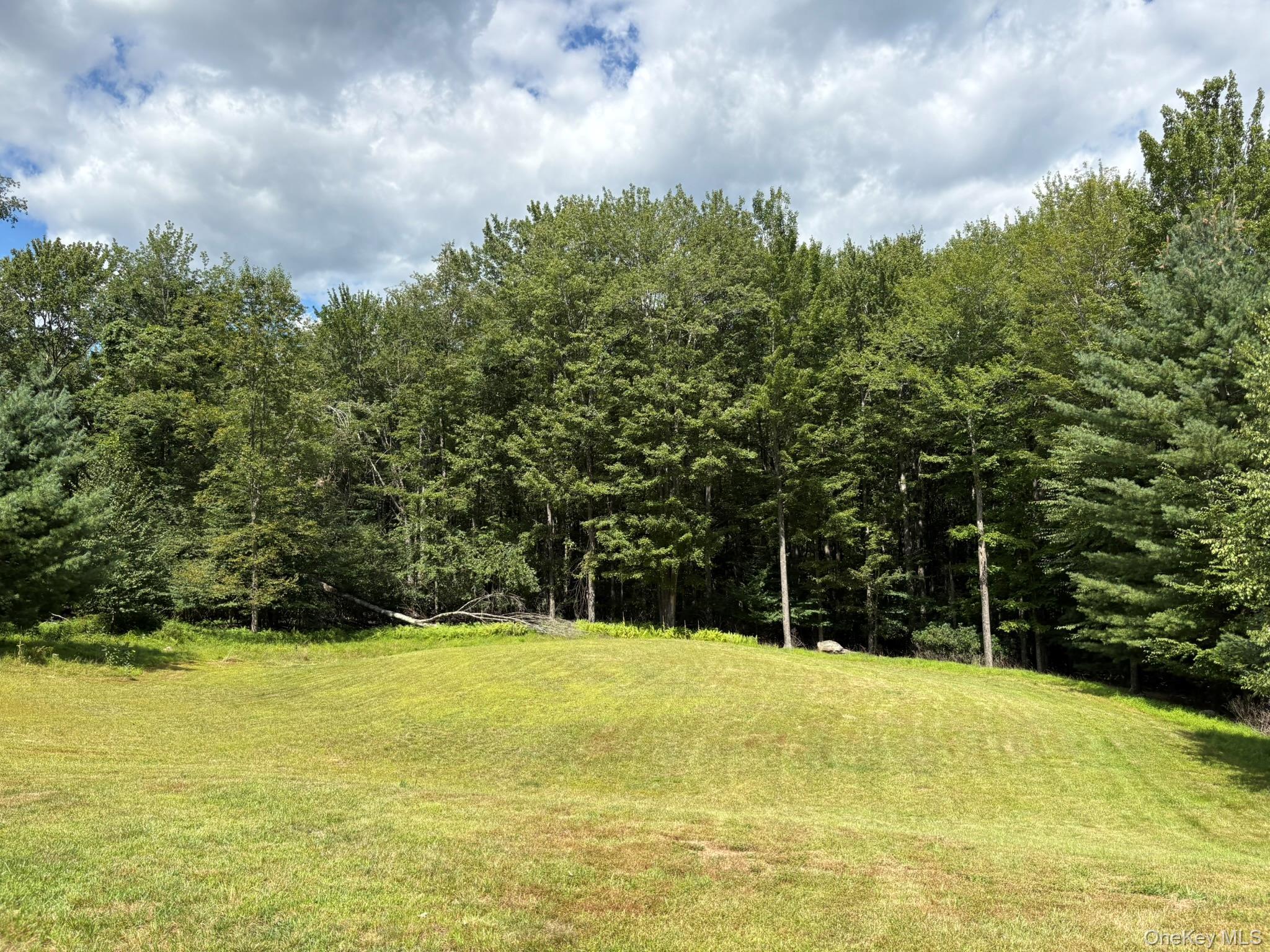 Single Family Schoolhouse Ulster County, NY 12458, MLS-904587-42