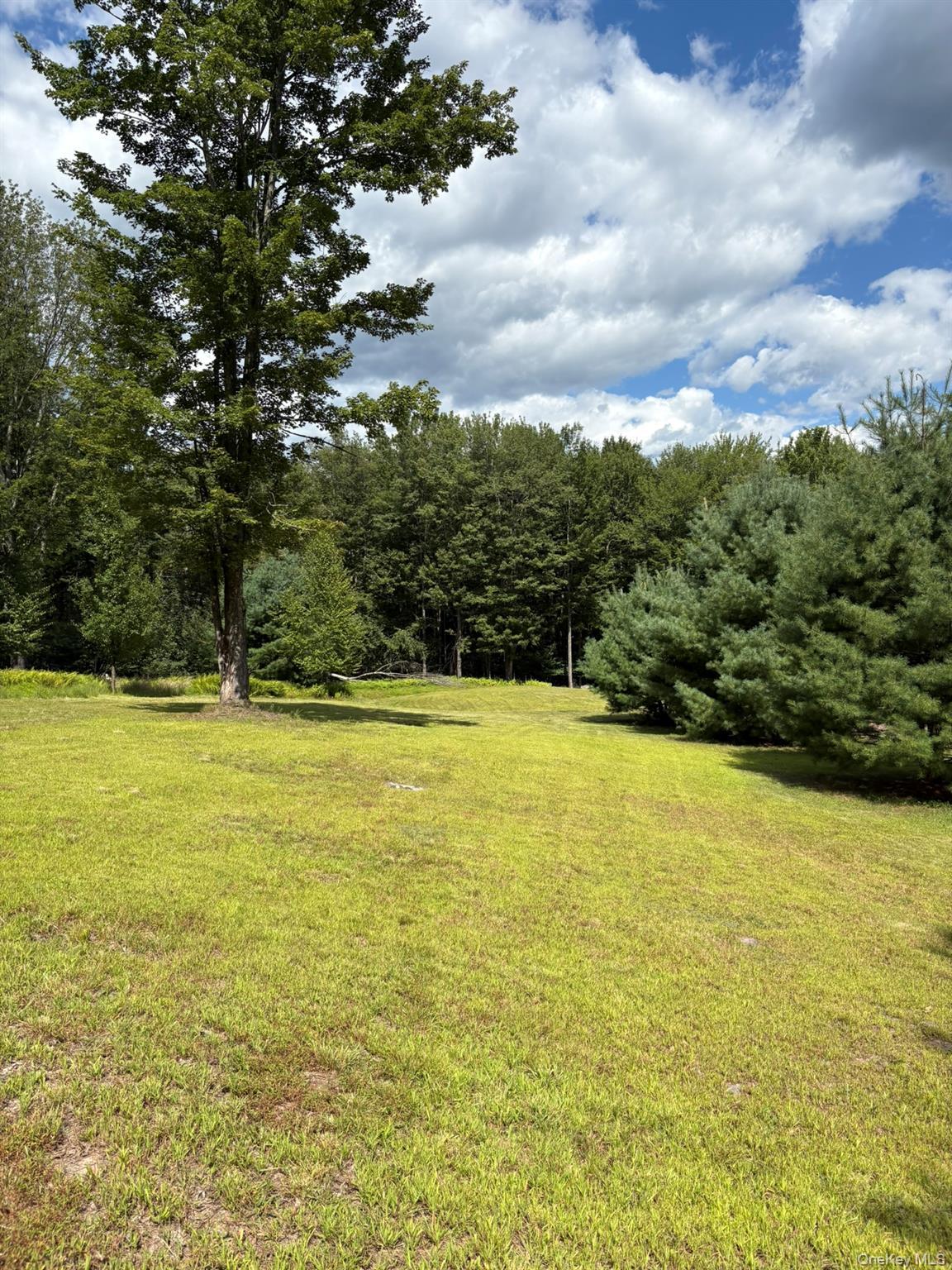 Single Family Schoolhouse Ulster County, NY 12458, MLS-904587-46