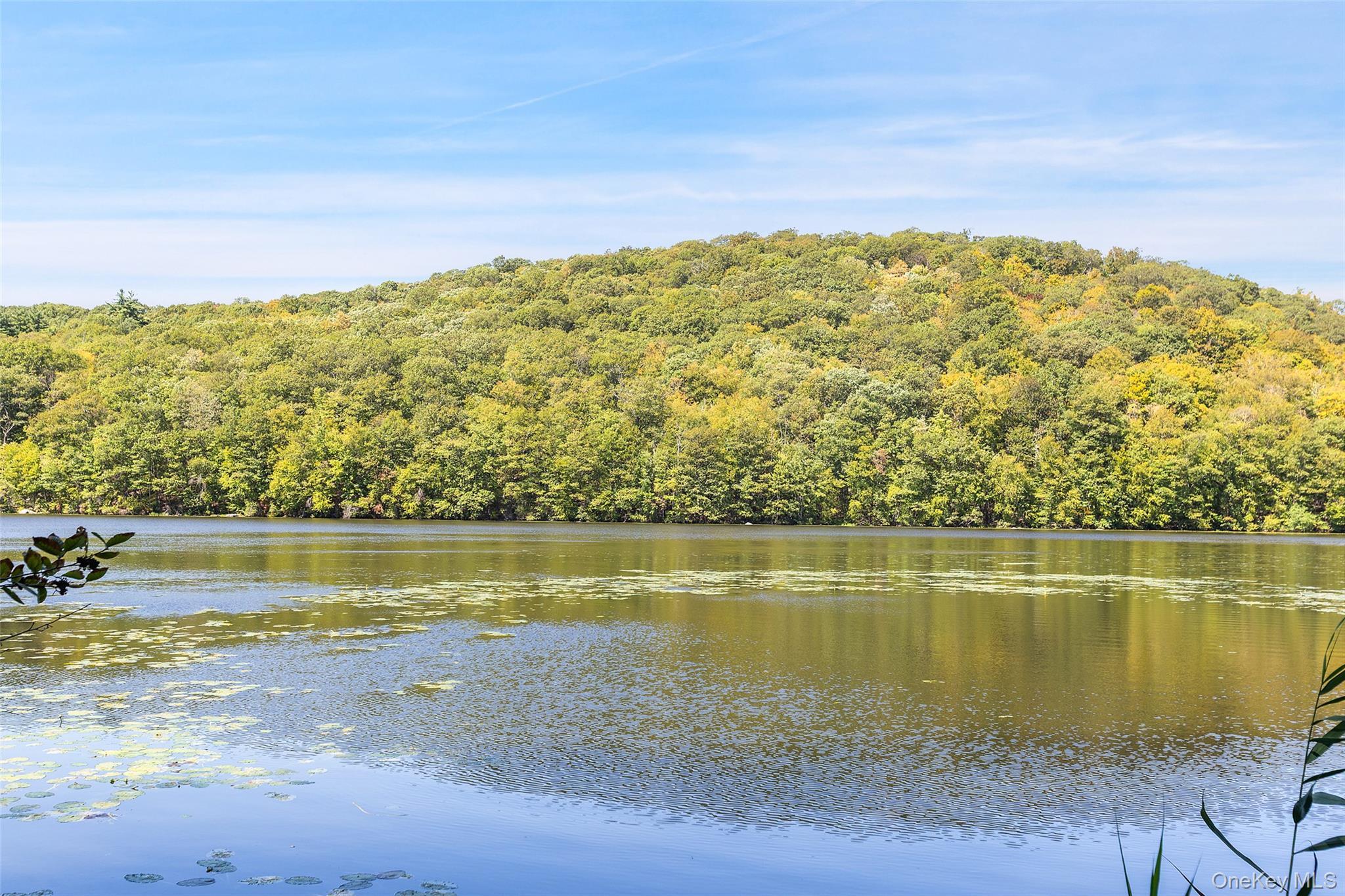 Single Family Glass  Putnam County, NY 10512, MLS-904694-24