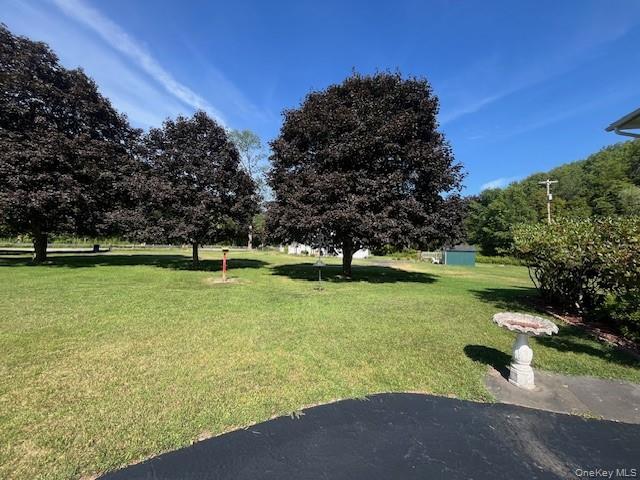 Single Family Watson  Delaware County, NY 12776, MLS-904709-25