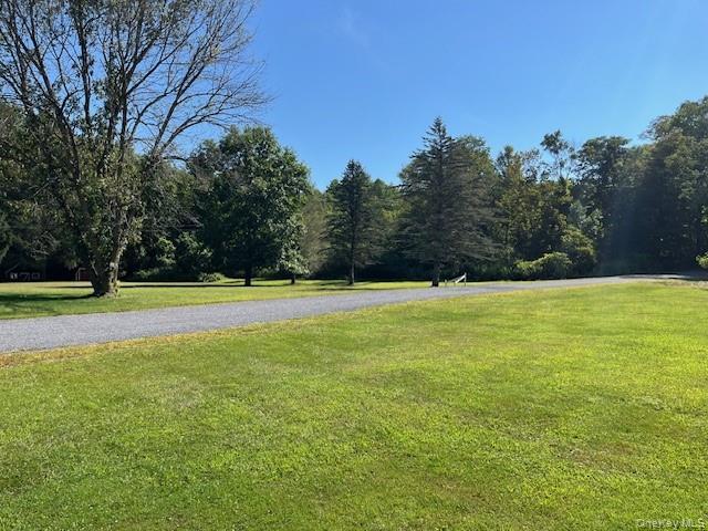 Single Family Watson  Delaware County, NY 12776, MLS-904709-28