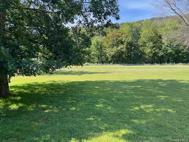 Single Family Watson  Delaware County, NY 12776, MLS-904709-32