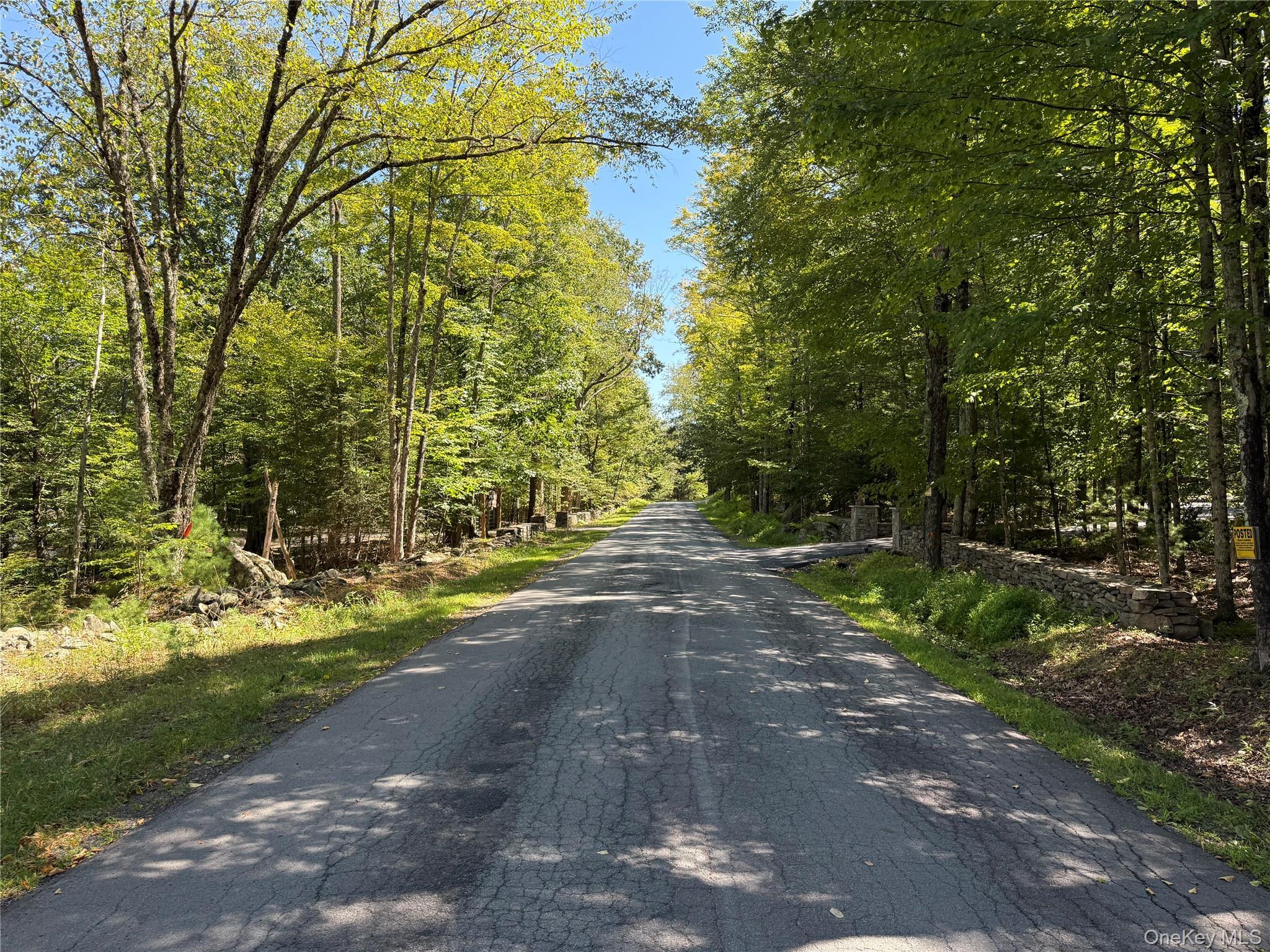 Single Family Plank  Sullivan County, NY 12720, MLS-904711-6