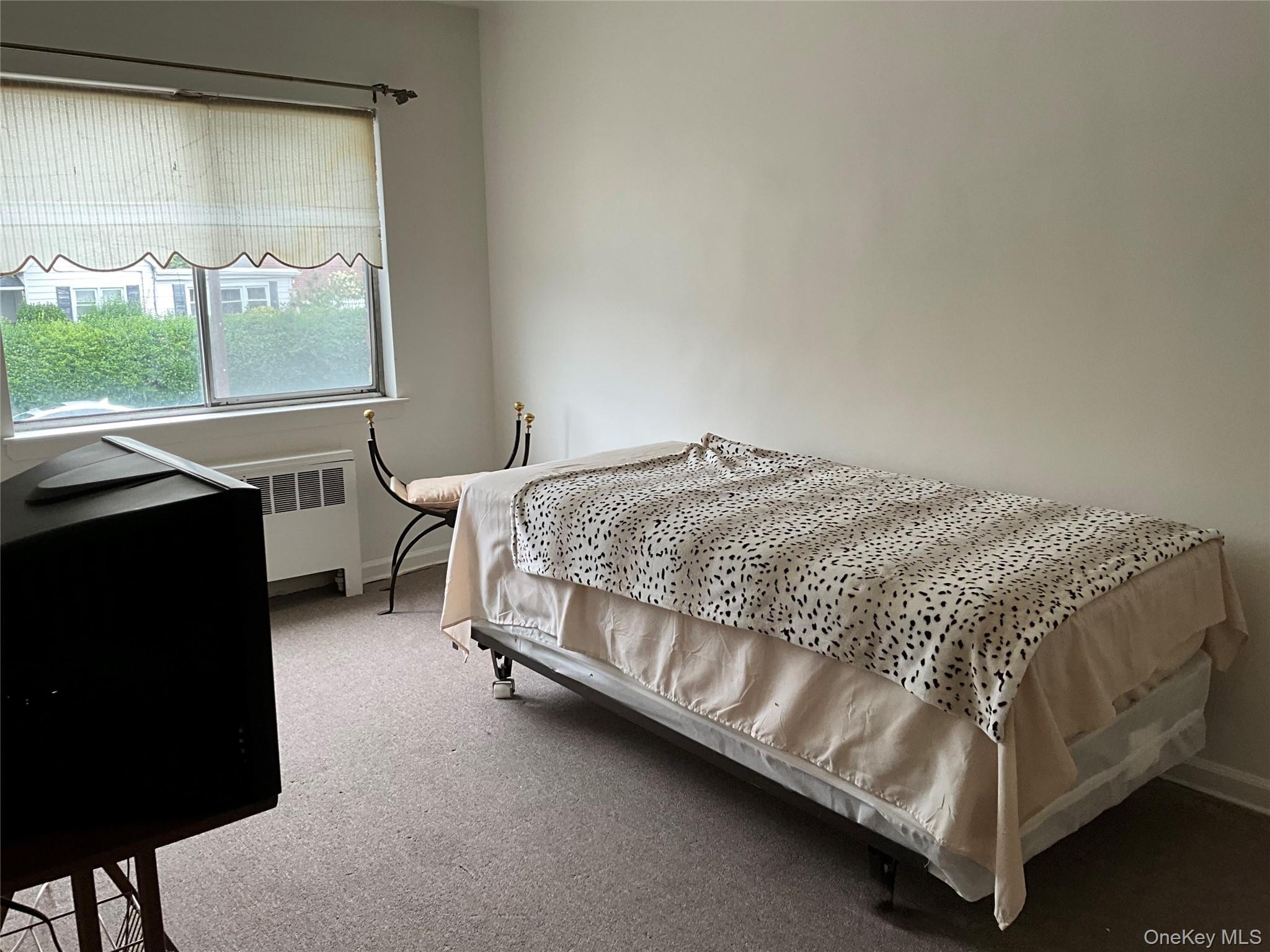 Single Family Ropes  Bronx, NY 10475, MLS-904857-10