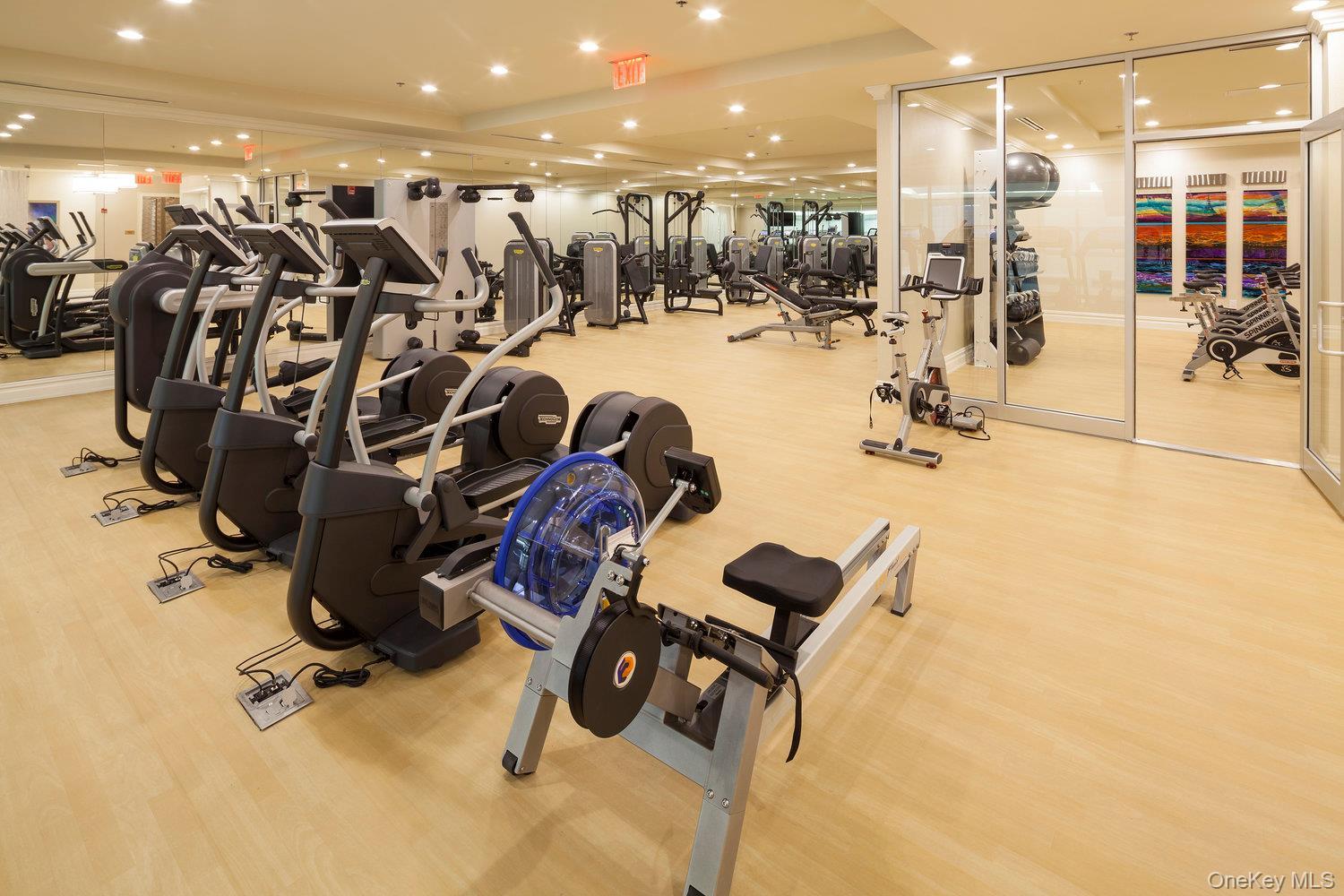 Condo Royal  Nassau County, NY 11040, MLS-905073-44