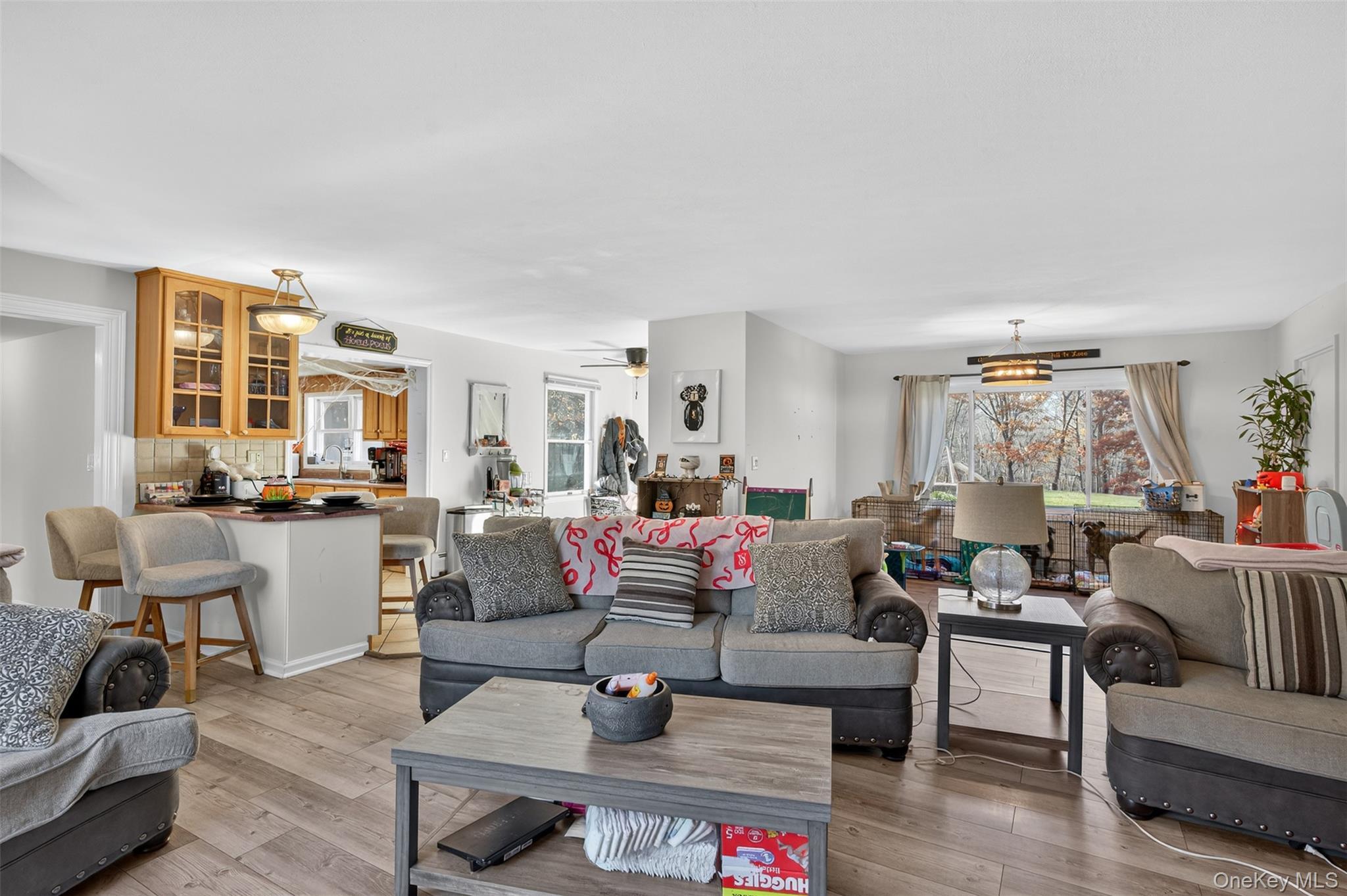 Single Family Ruskey  Dutchess County, NY 12538, MLS-905205-25