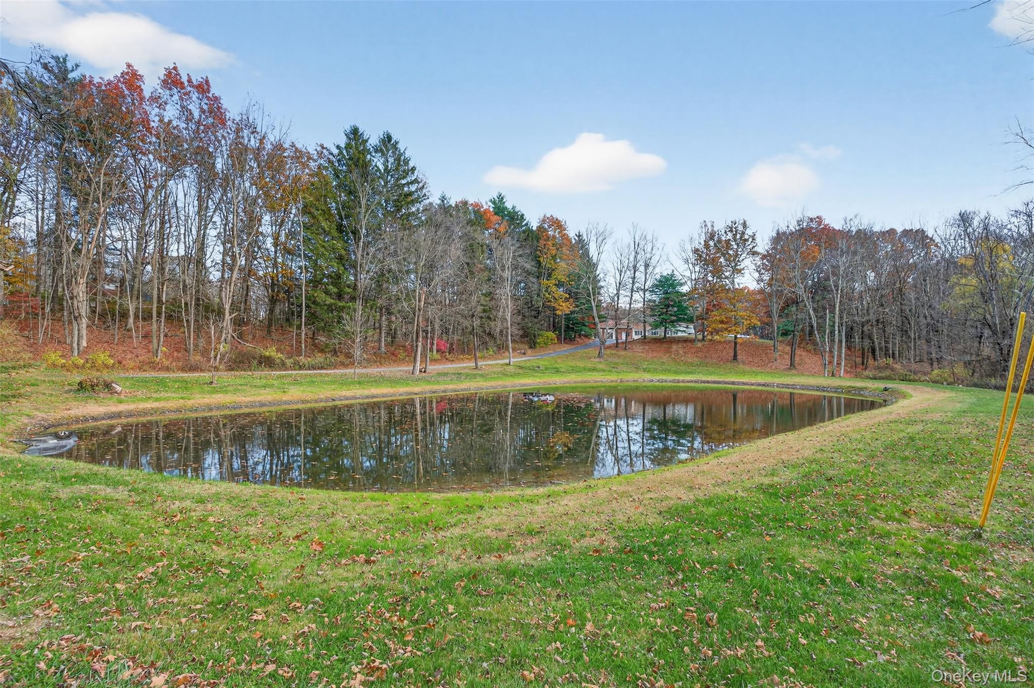 Single Family Ruskey  Dutchess County, NY 12538, MLS-905205-5