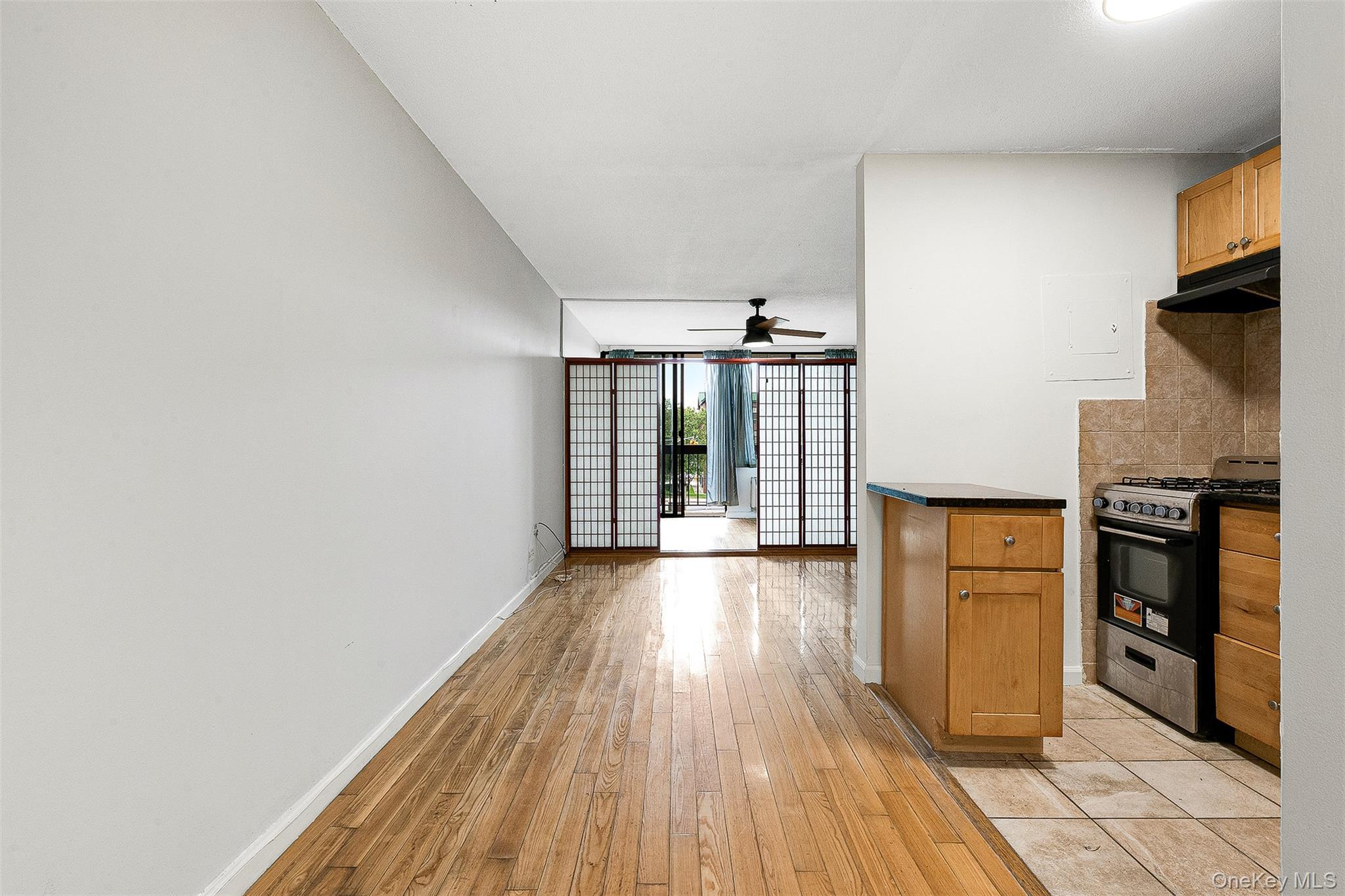 Apartment Union  Queens, NY 11367, MLS-905248-8