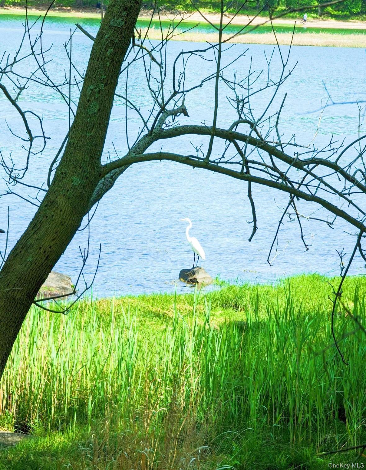 Single Family Pennyfield Cp Dr Bronx, NY 10465, MLS-905257-13