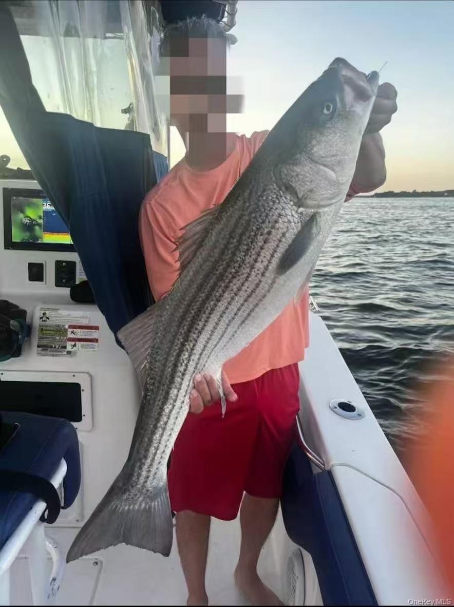 Single Family Pennyfield Cp Dr Bronx, NY 10465, MLS-905257-20