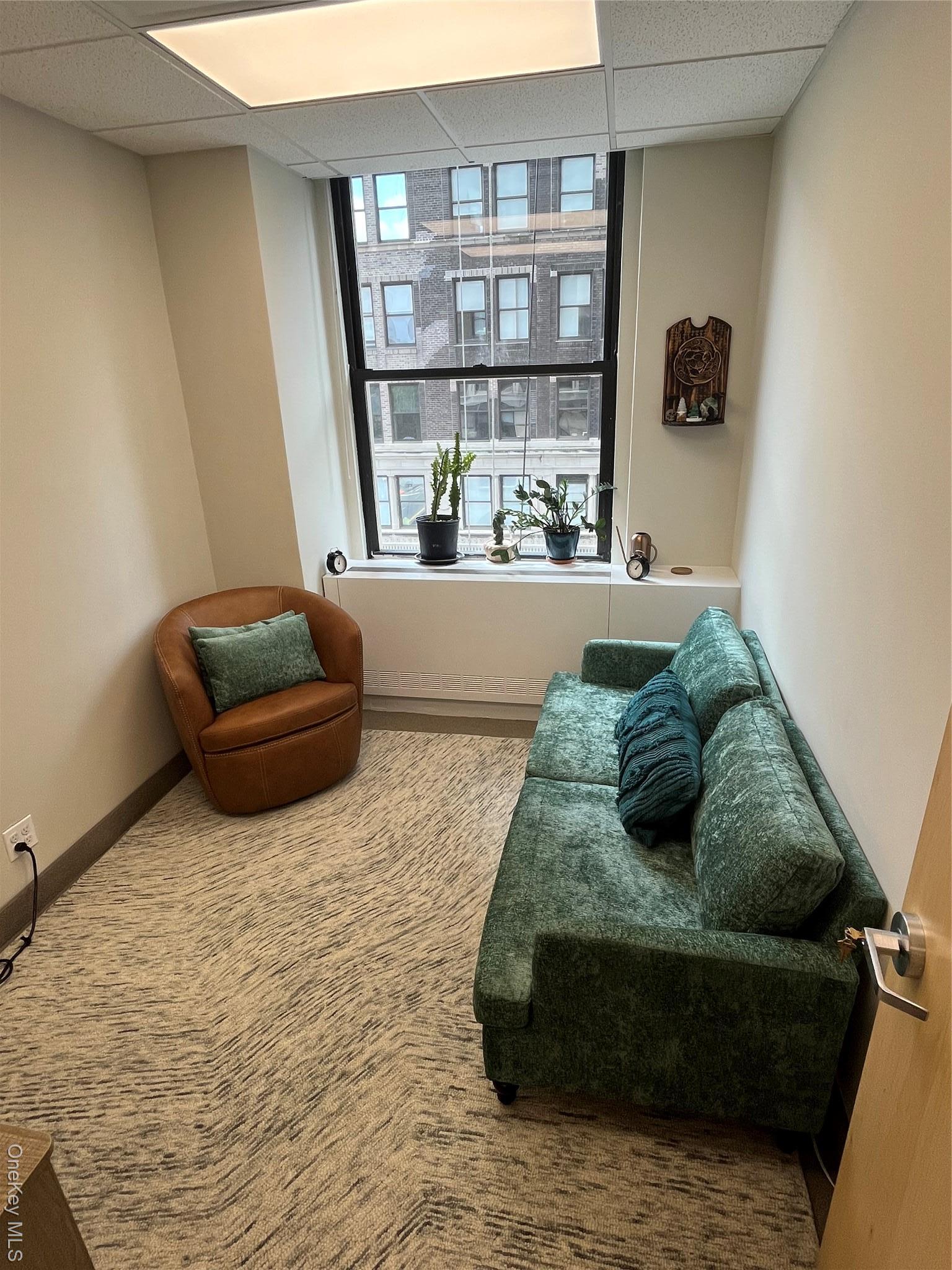 Commercial Lease Court Brooklyn, NY 11242, MLS-905296-3