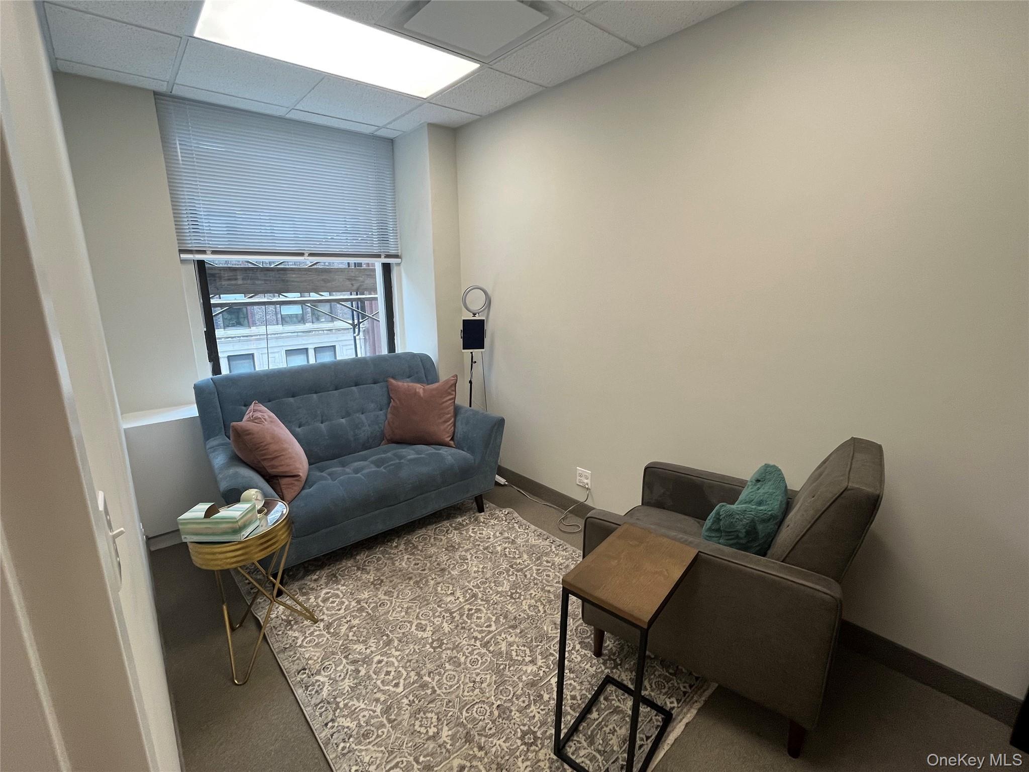 Commercial Lease Court Brooklyn, NY 11242, MLS-905296-6