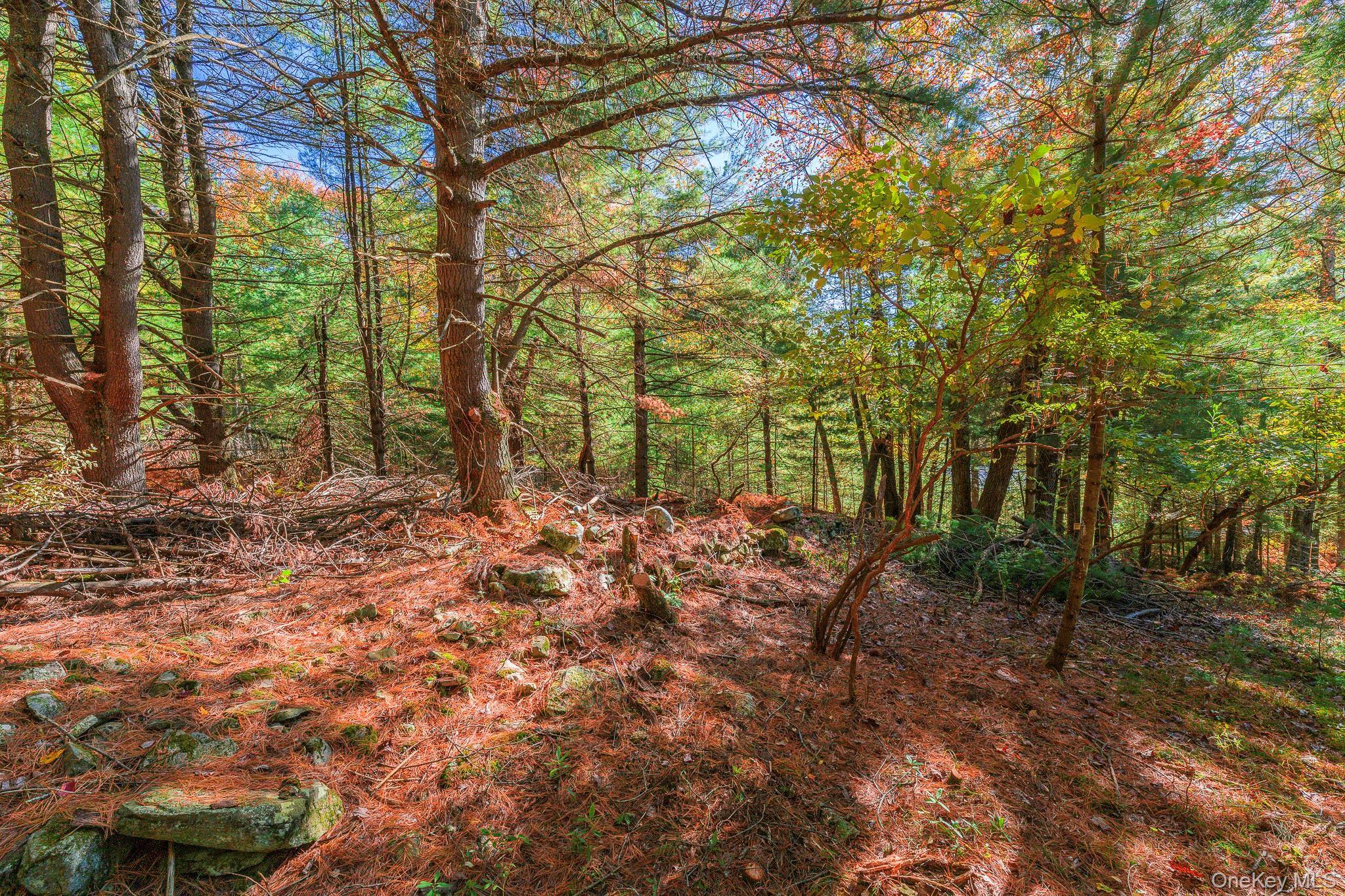 Single Family County Route 31  Sullivan County, NY 12737, MLS-905355-7