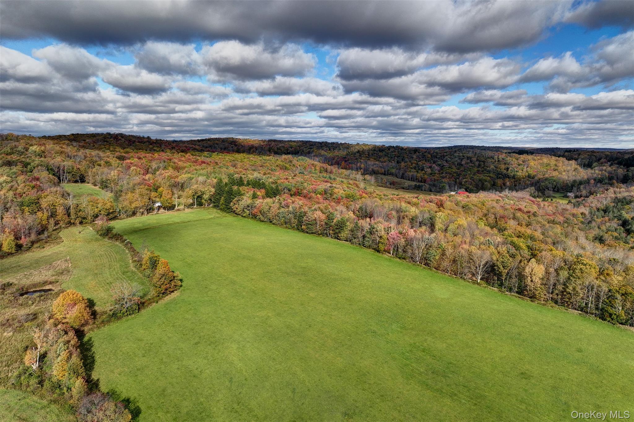 Single Family William Herbert Sullivan County, NY 12736, MLS-905377-33