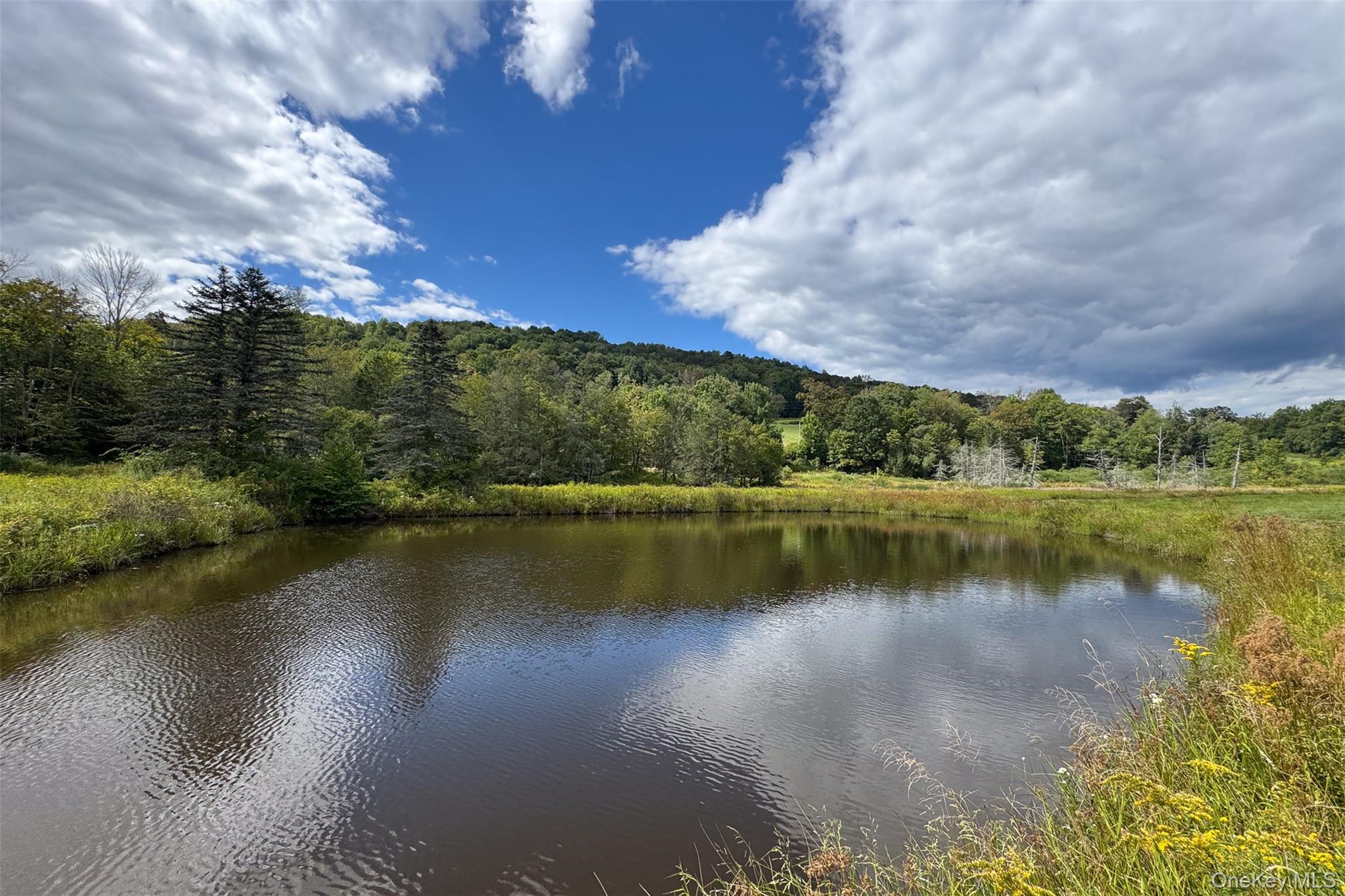 Single Family William Herbert Sullivan County, NY 12736, MLS-905377-37