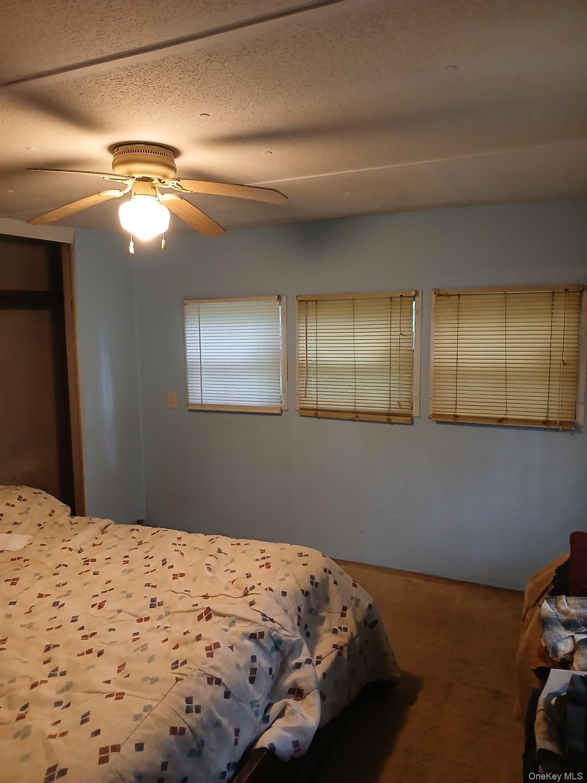 Single Family Depew  Ulster County, NY 12589, MLS-905505-6
