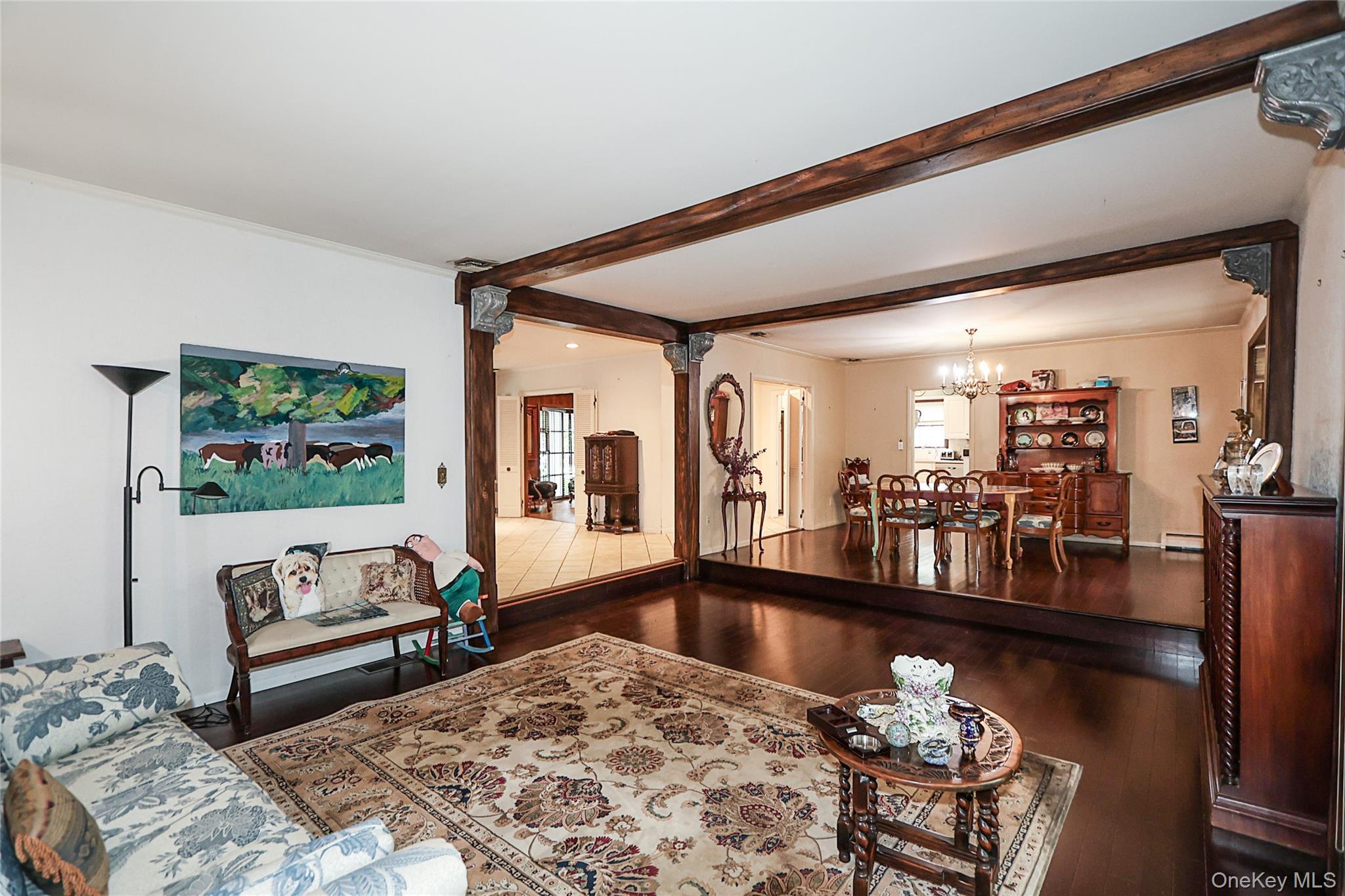 Single Family Birch Nassau County, NY 11576, MLS-905544-24