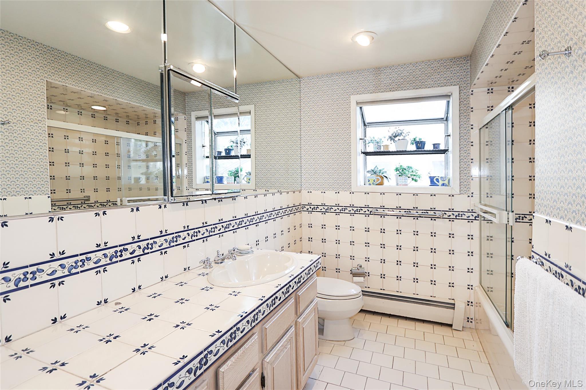 Single Family Birch Nassau County, NY 11576, MLS-905544-29