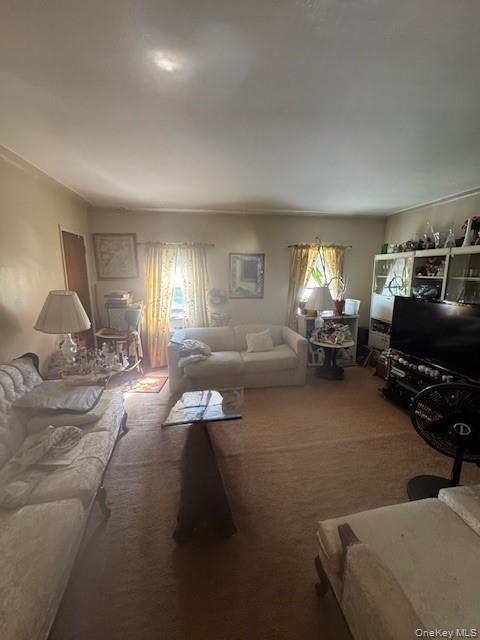 Single Family 226th  Bronx, NY 10466, MLS-905579-7