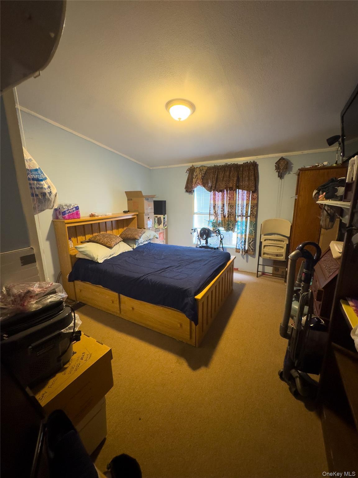 Single Family Lake View Sullivan County, NY 12788, MLS-905625-18