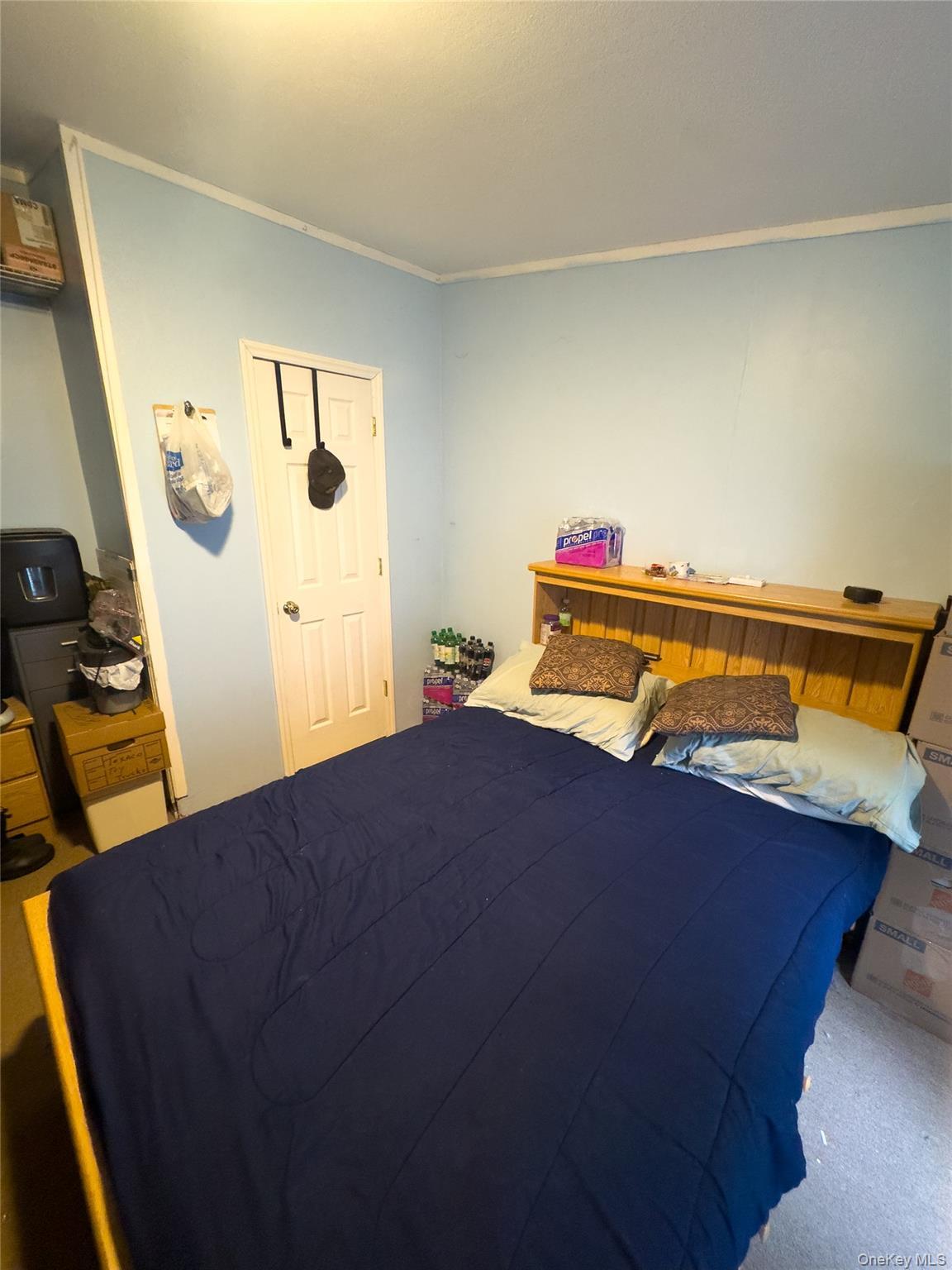 Single Family Lake View Sullivan County, NY 12788, MLS-905625-19