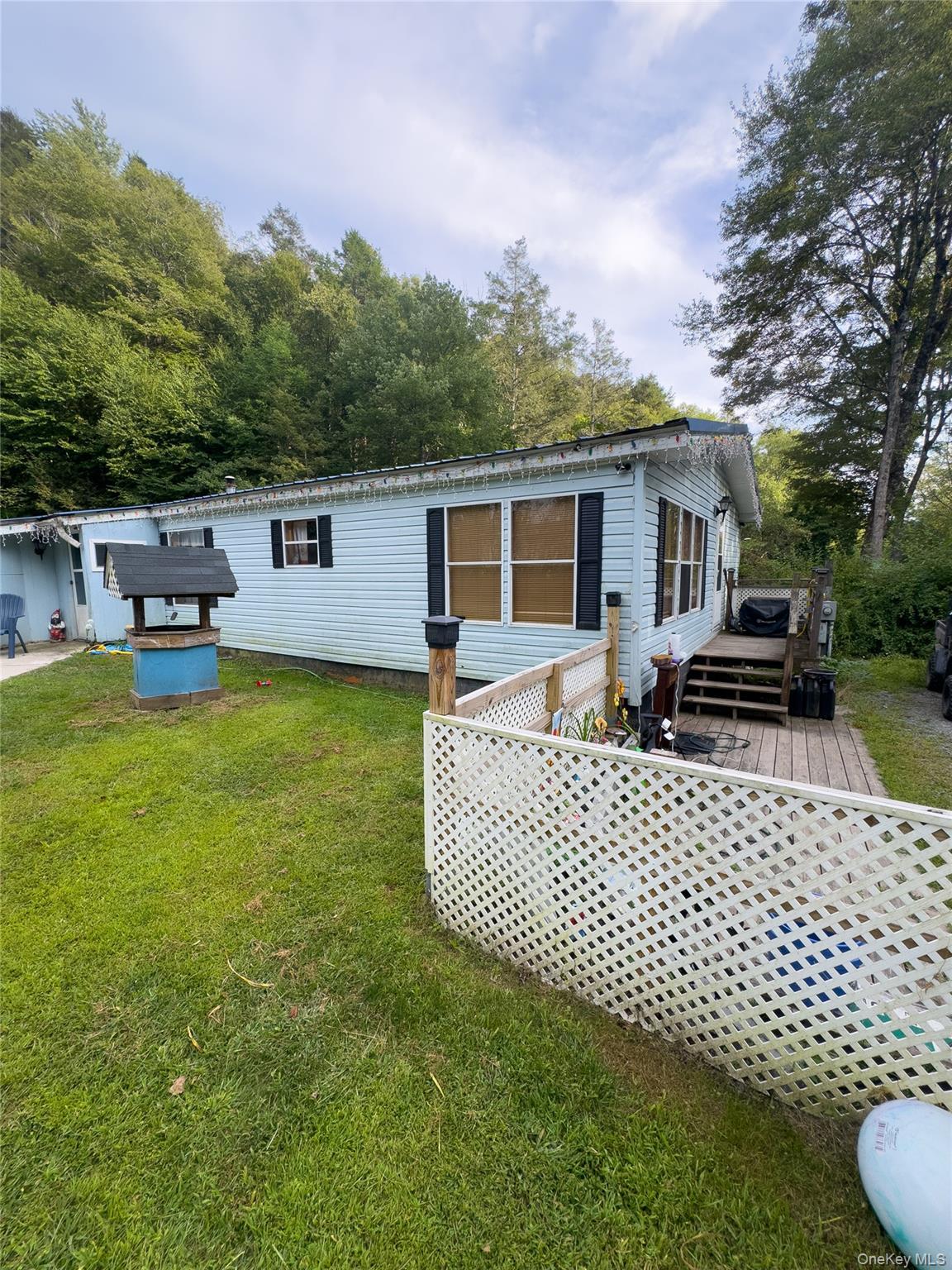 Single Family Lake View Sullivan County, NY 12788, MLS-905625-8