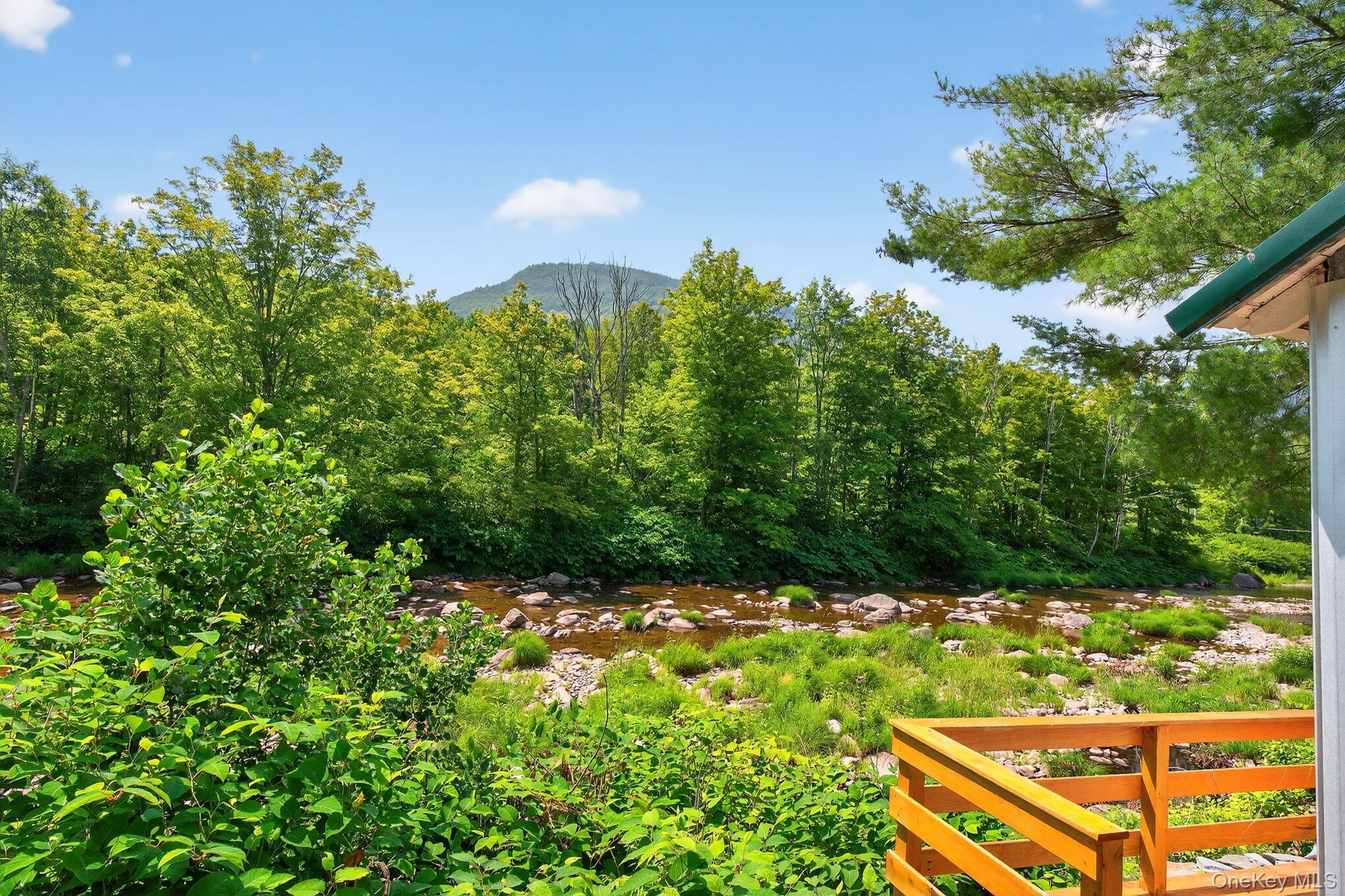 Single Family Main  Greene County, NY 12442, MLS-905694-34