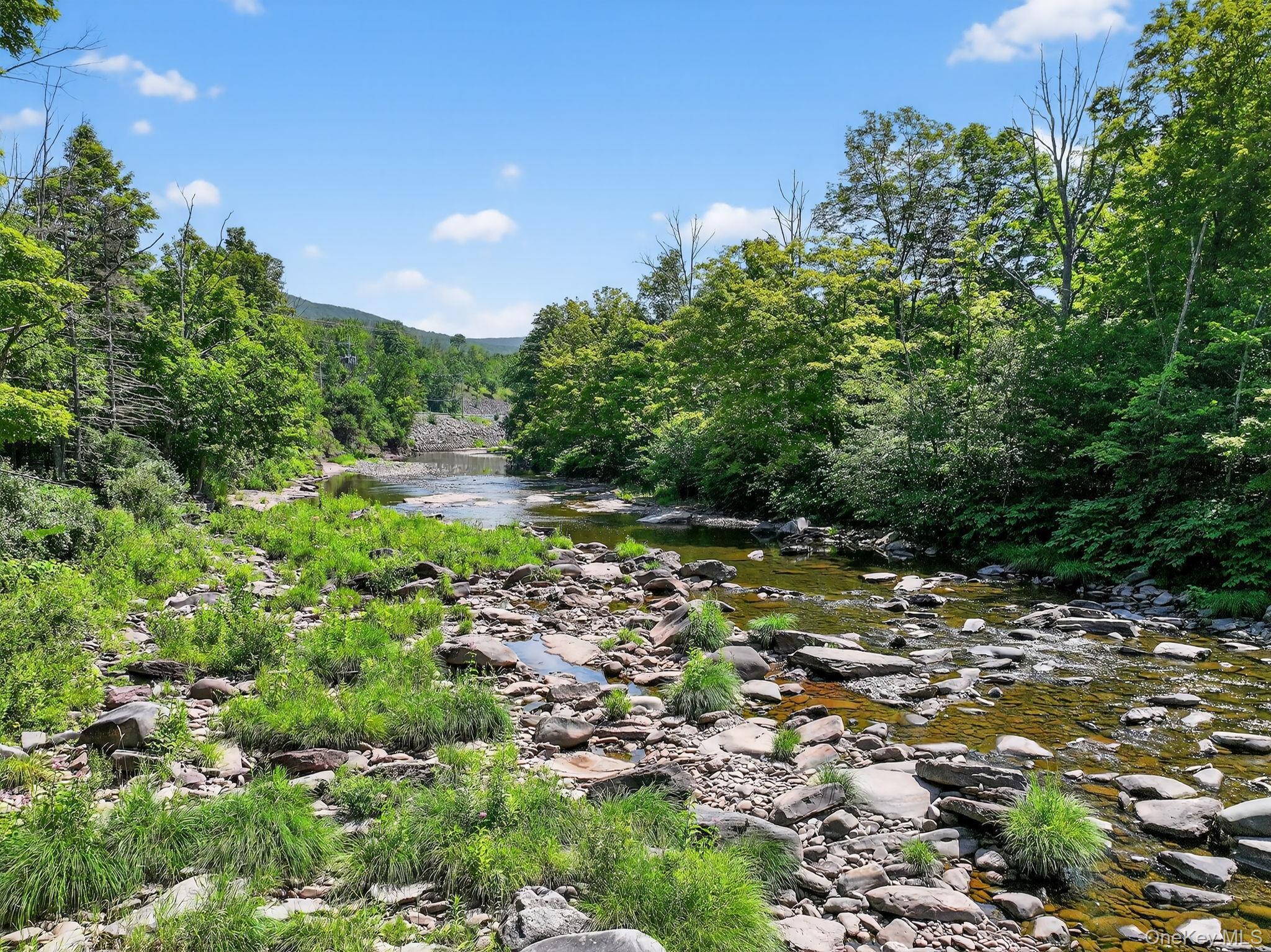 Single Family Main  Greene County, NY 12442, MLS-905694-38