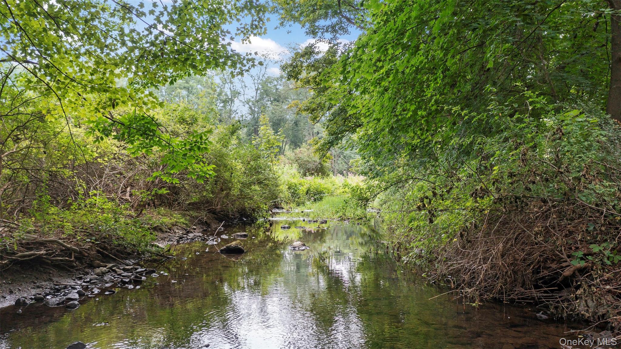 Single Family Market  Dutchess County, NY 12514, MLS-905712-29