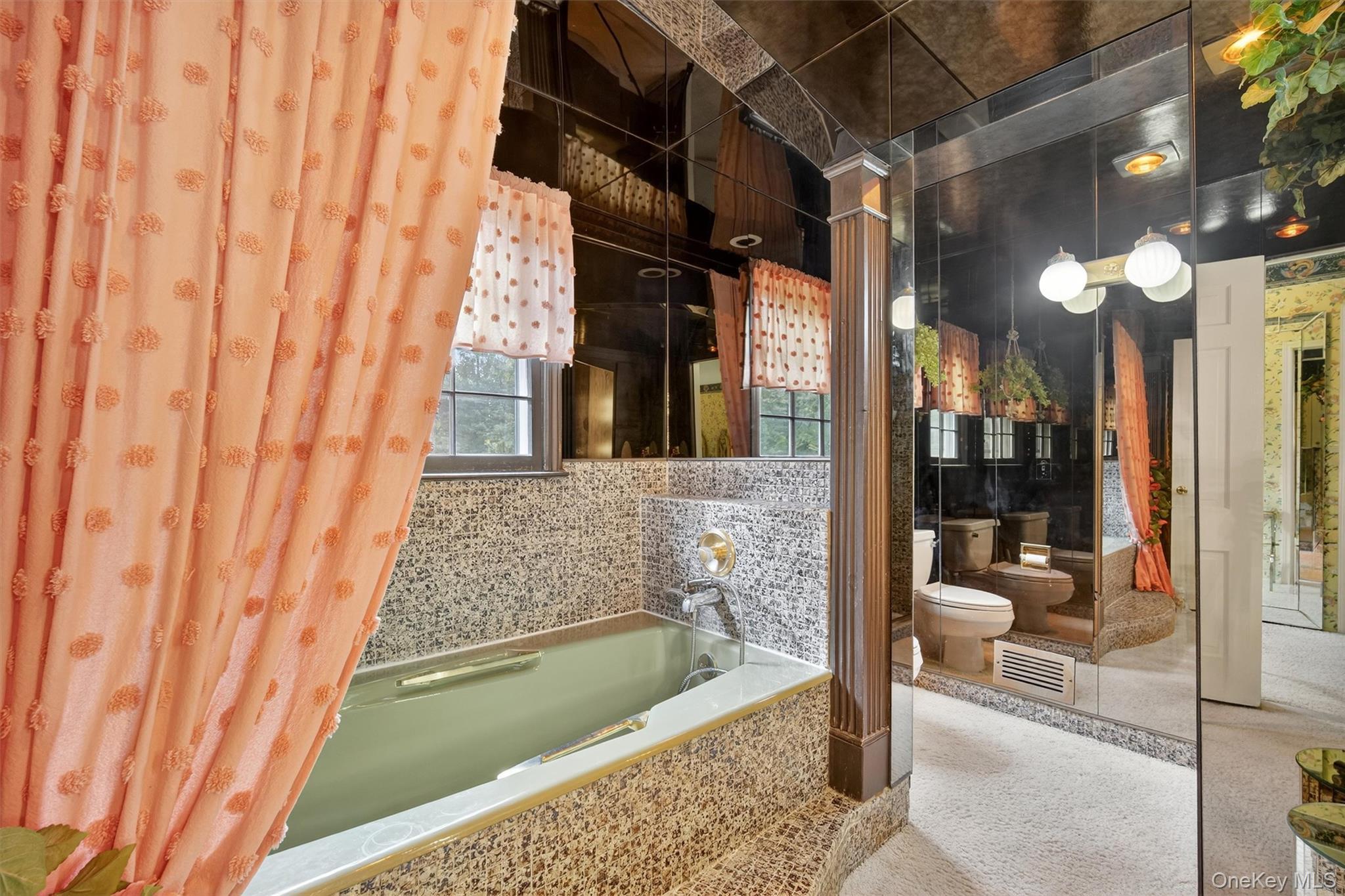 Single Family Orchard Hill  Westchester County, NY 10536, MLS-905714-24