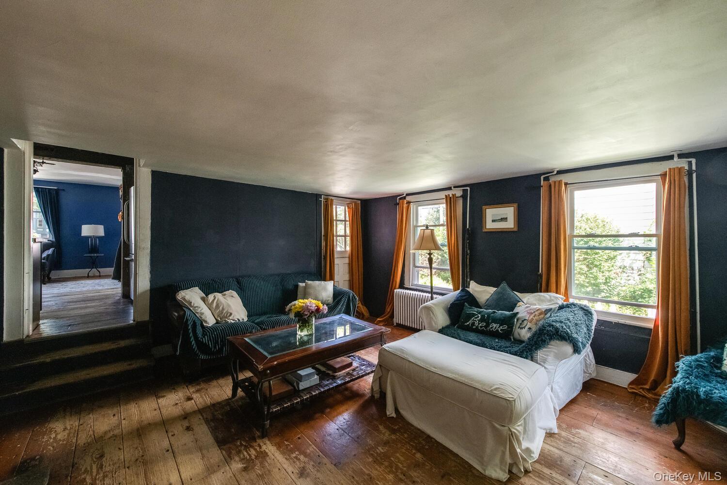 Single Family Hamilton  Dutchess County, NY 12601, MLS-905731-19