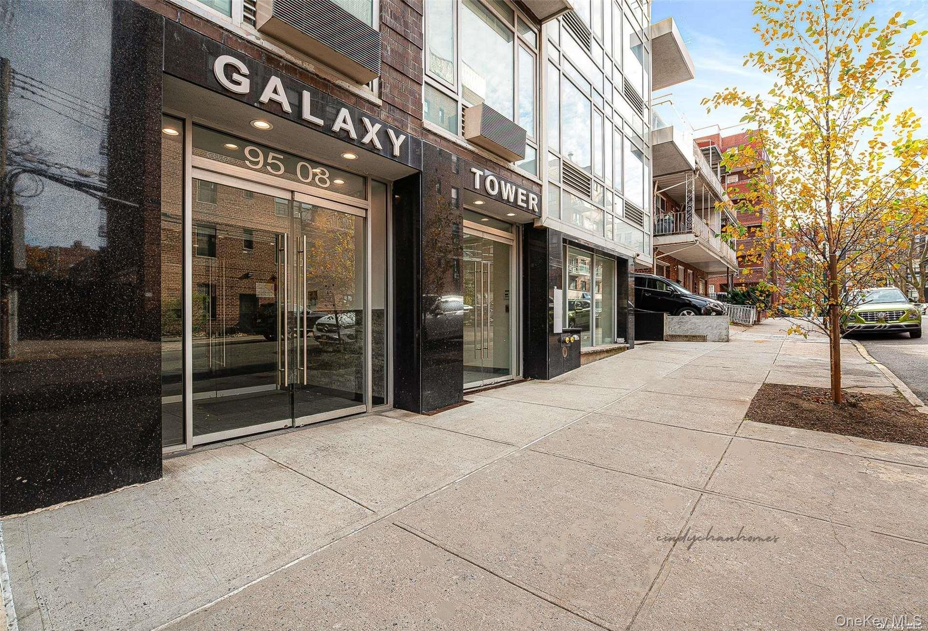 Condo 65th  Queens, NY 11374, MLS-905745-2