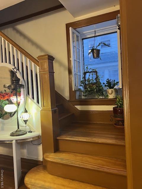 Single Family Kalmia  Queens, NY 11355, MLS-905790-11