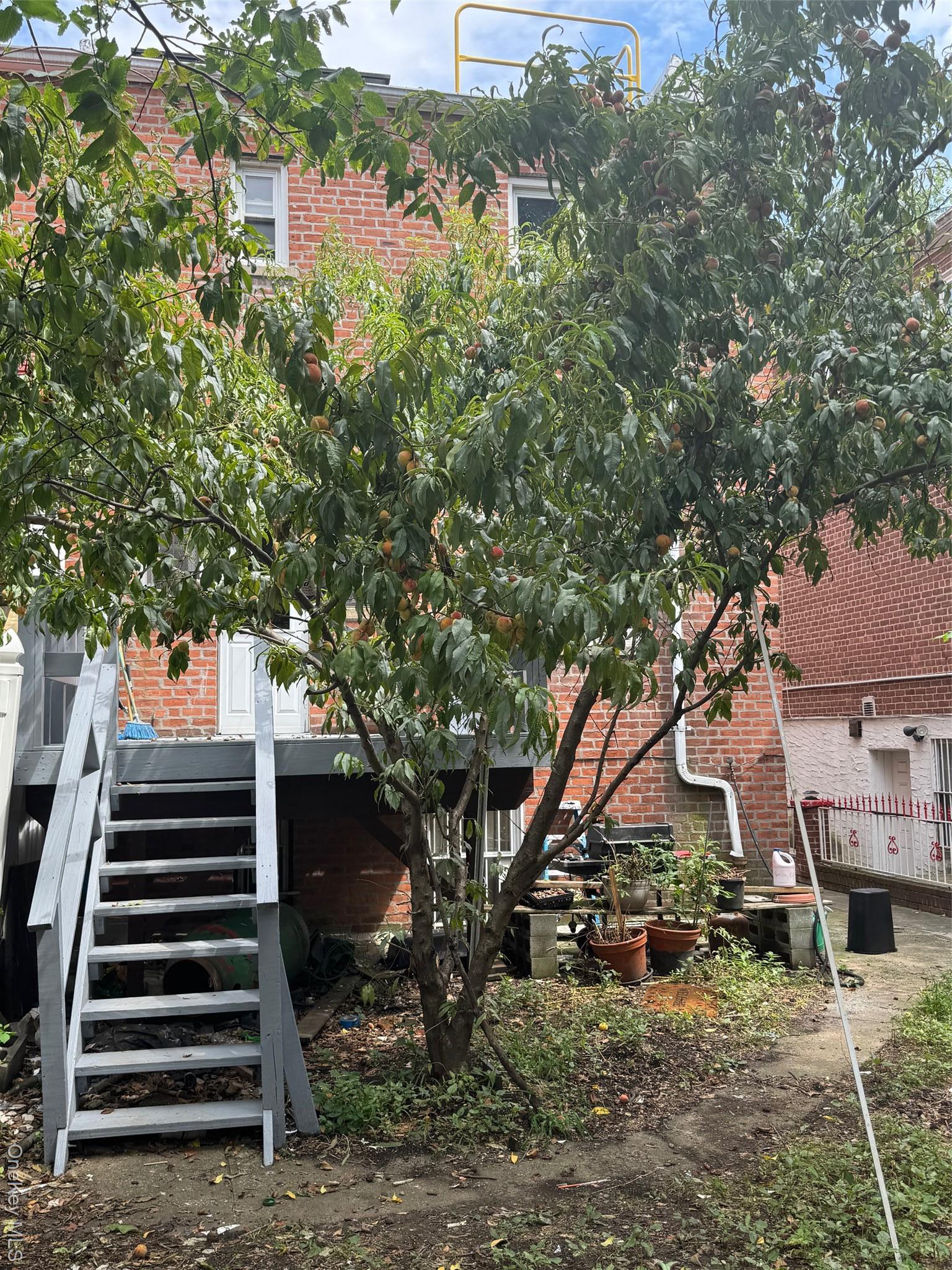 Single Family Barnes Bronx, NY 10467, MLS-905970-4