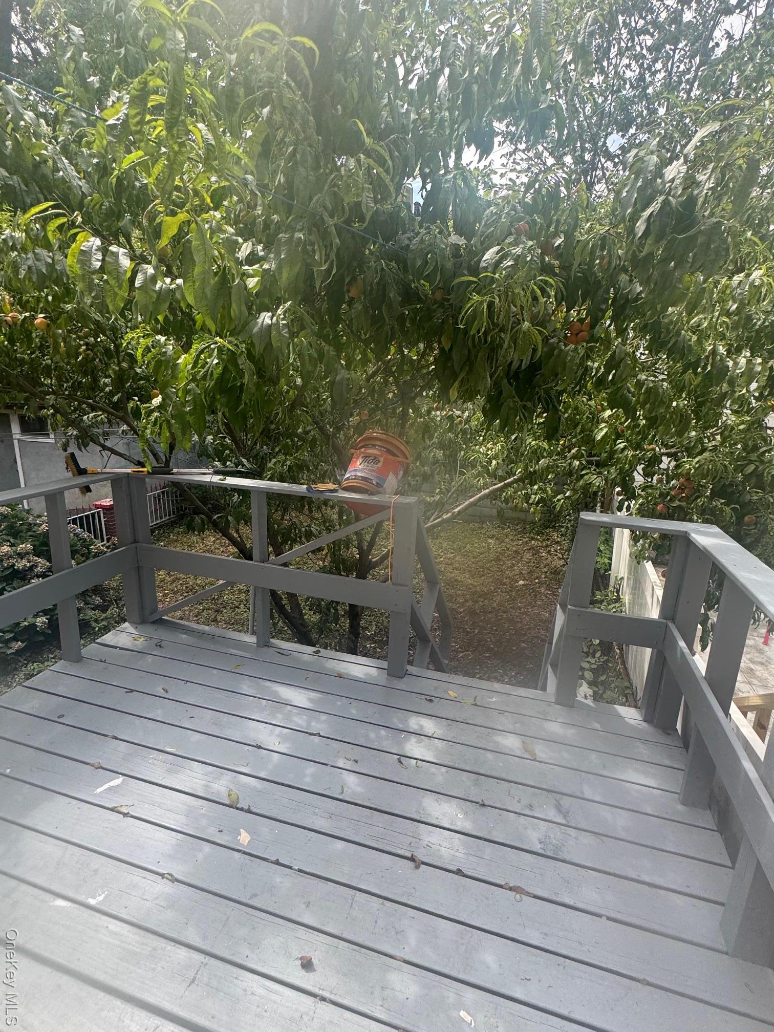 Single Family Barnes Bronx, NY 10467, MLS-905970-8