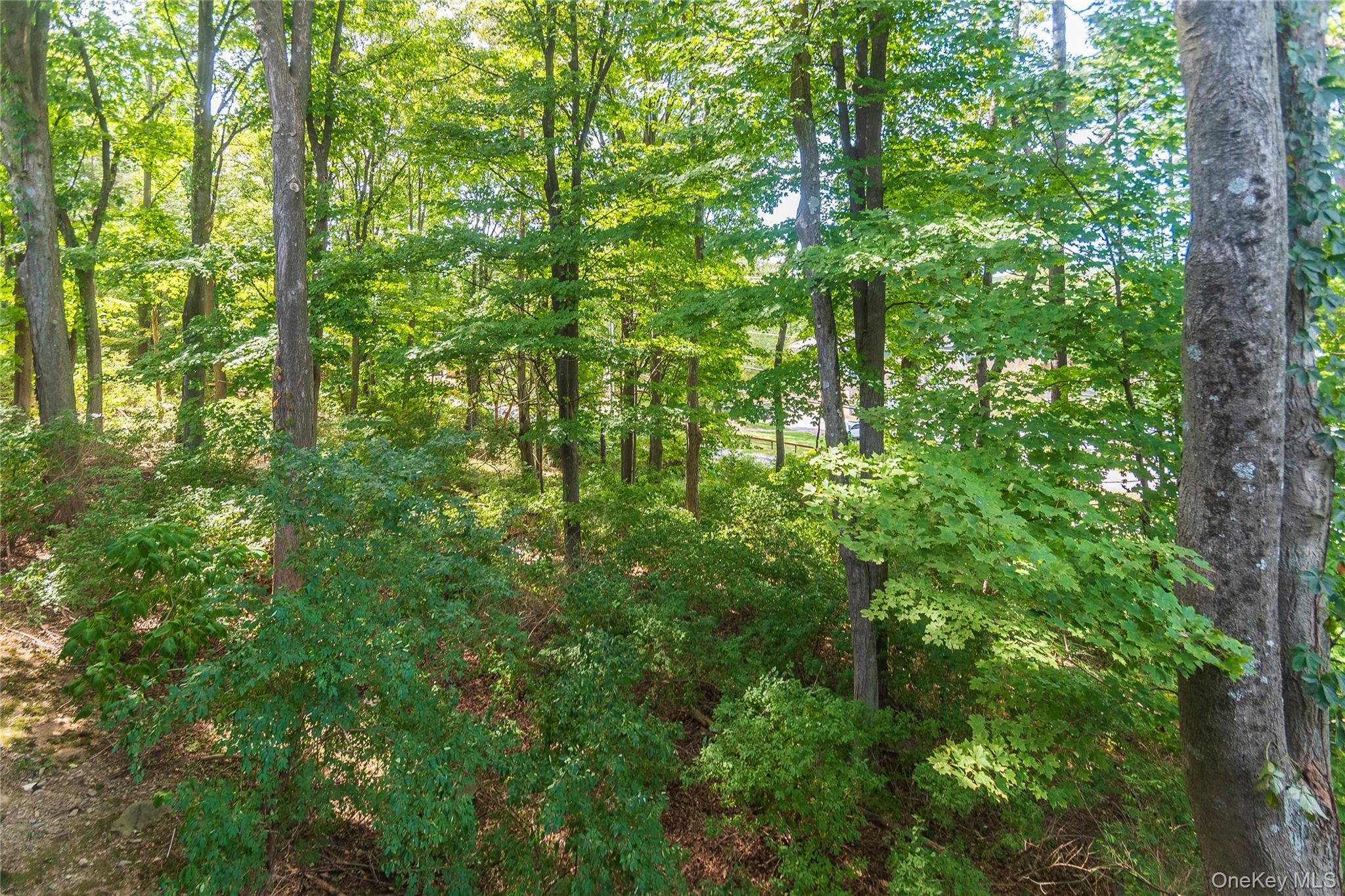 Single Family Village  Ulster County, NY 12401, MLS-906066-39