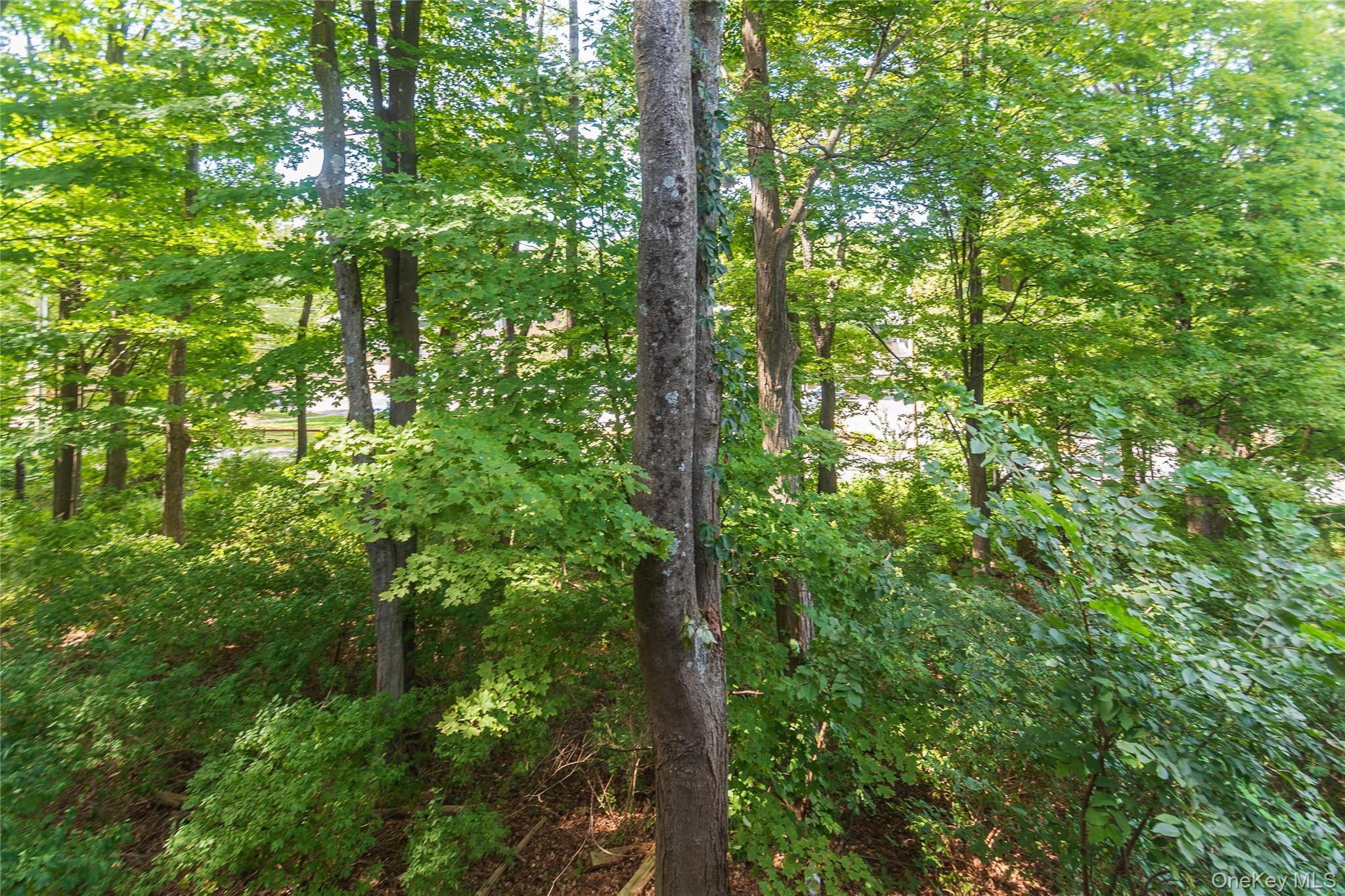 Single Family Village  Ulster County, NY 12401, MLS-906066-40