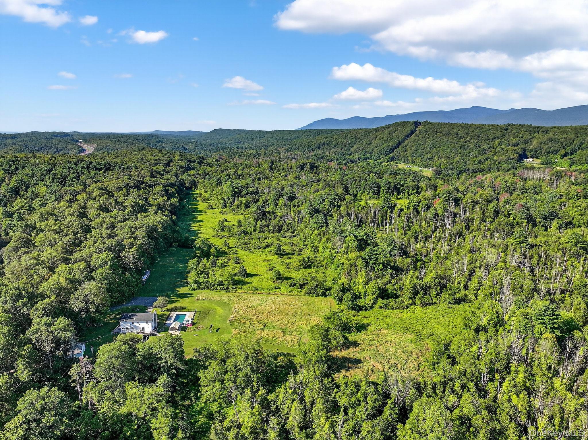 Single Family Paul Horn  Greene County, NY 12414, MLS-906251-28